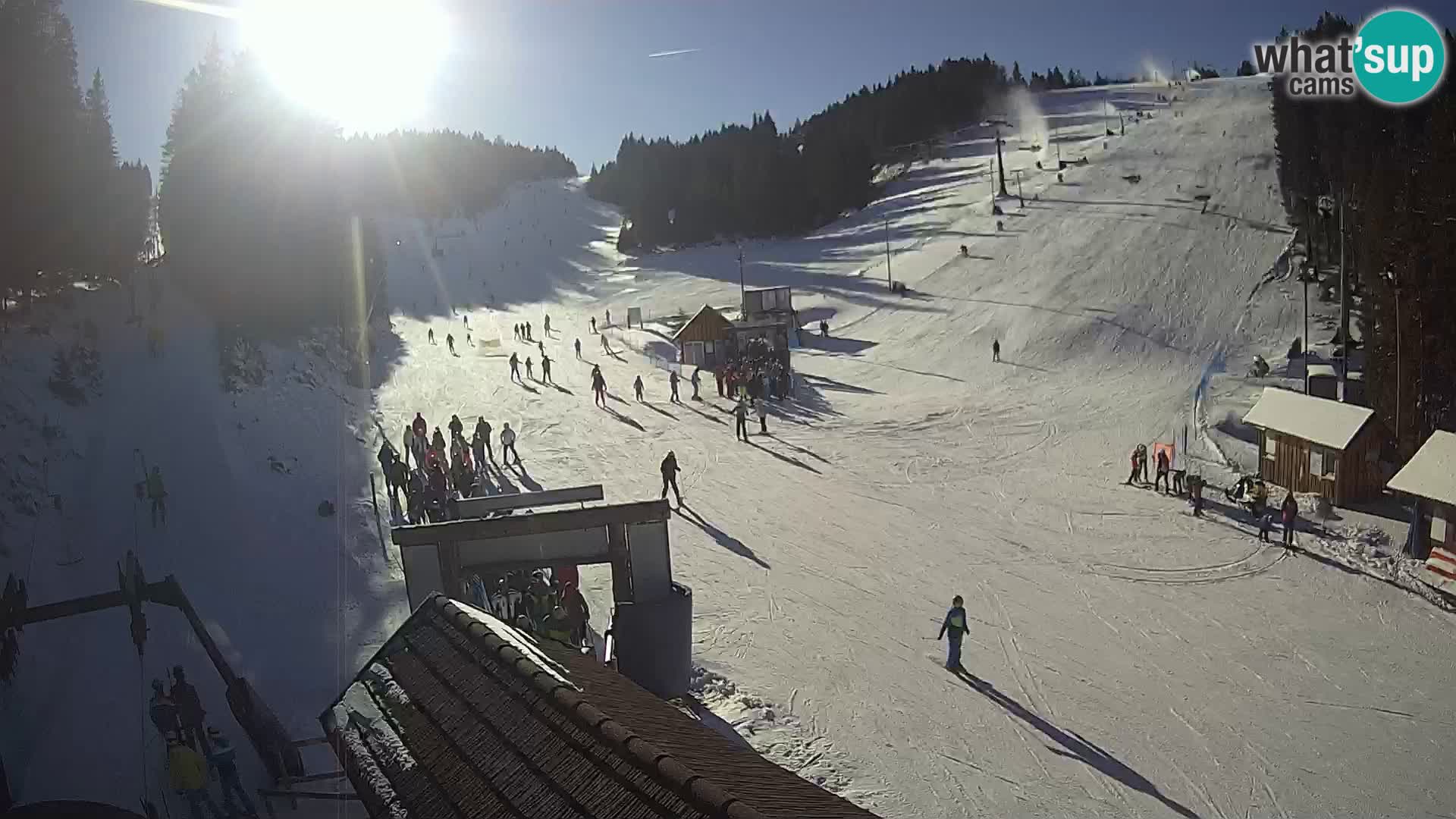 Rogla ski resort – Planja, Košuta, Jasa