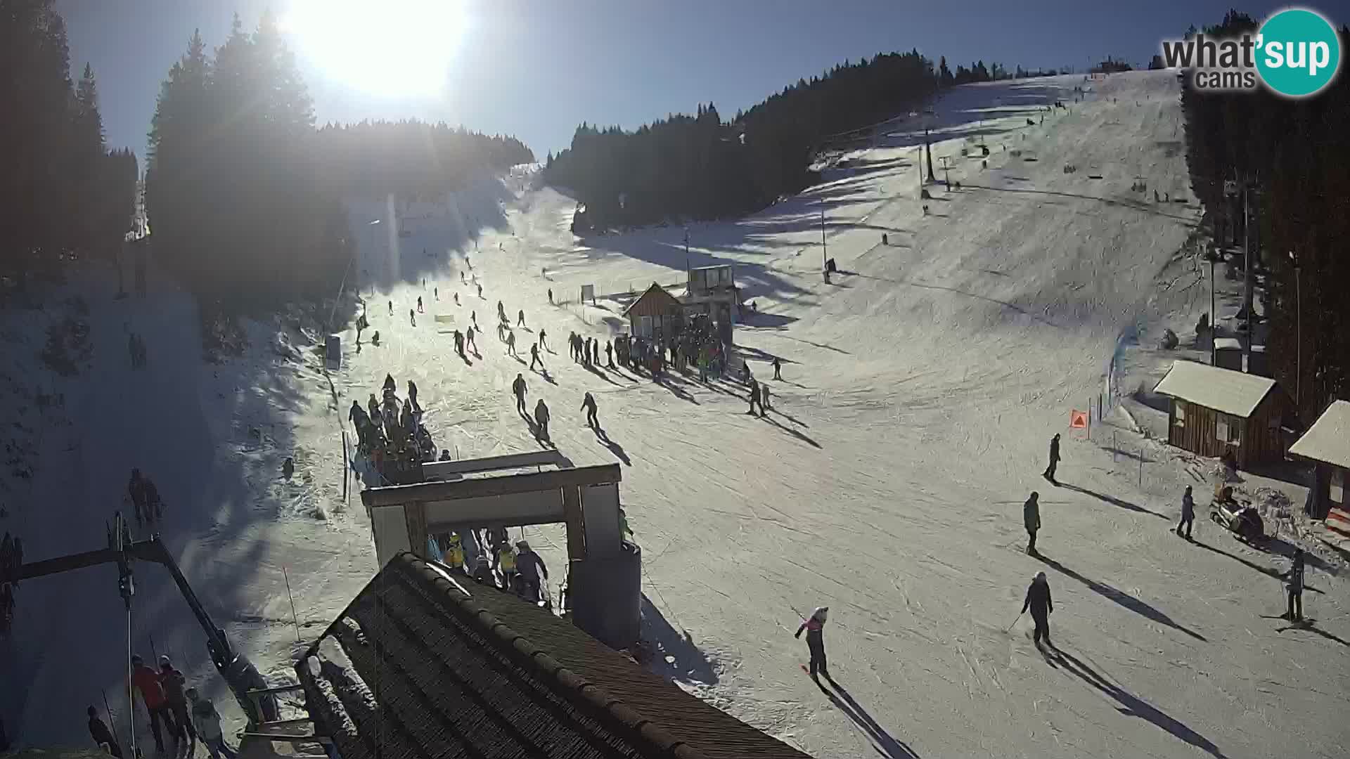 Rogla ski resort webcam Planja, Košuta, Jasa