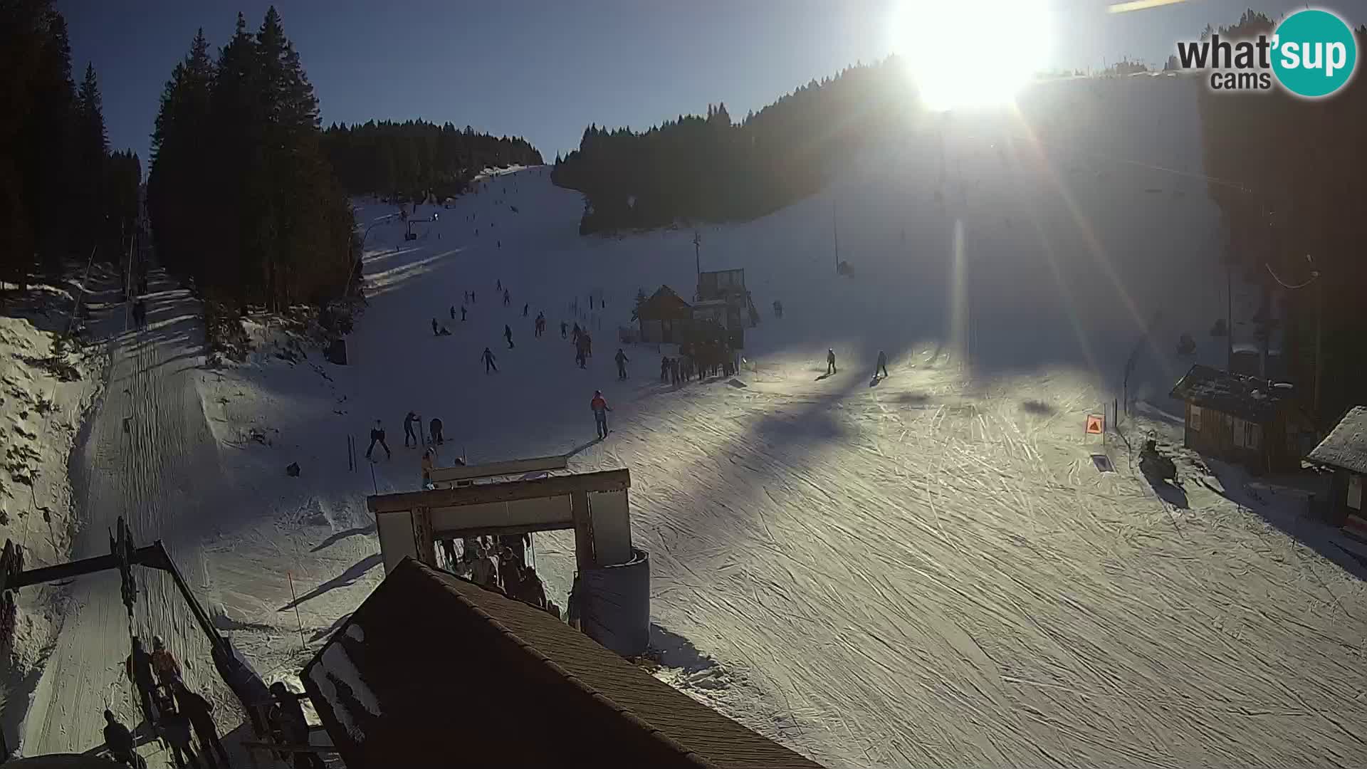 Rogla ski resort – Planja, Košuta, Jasa