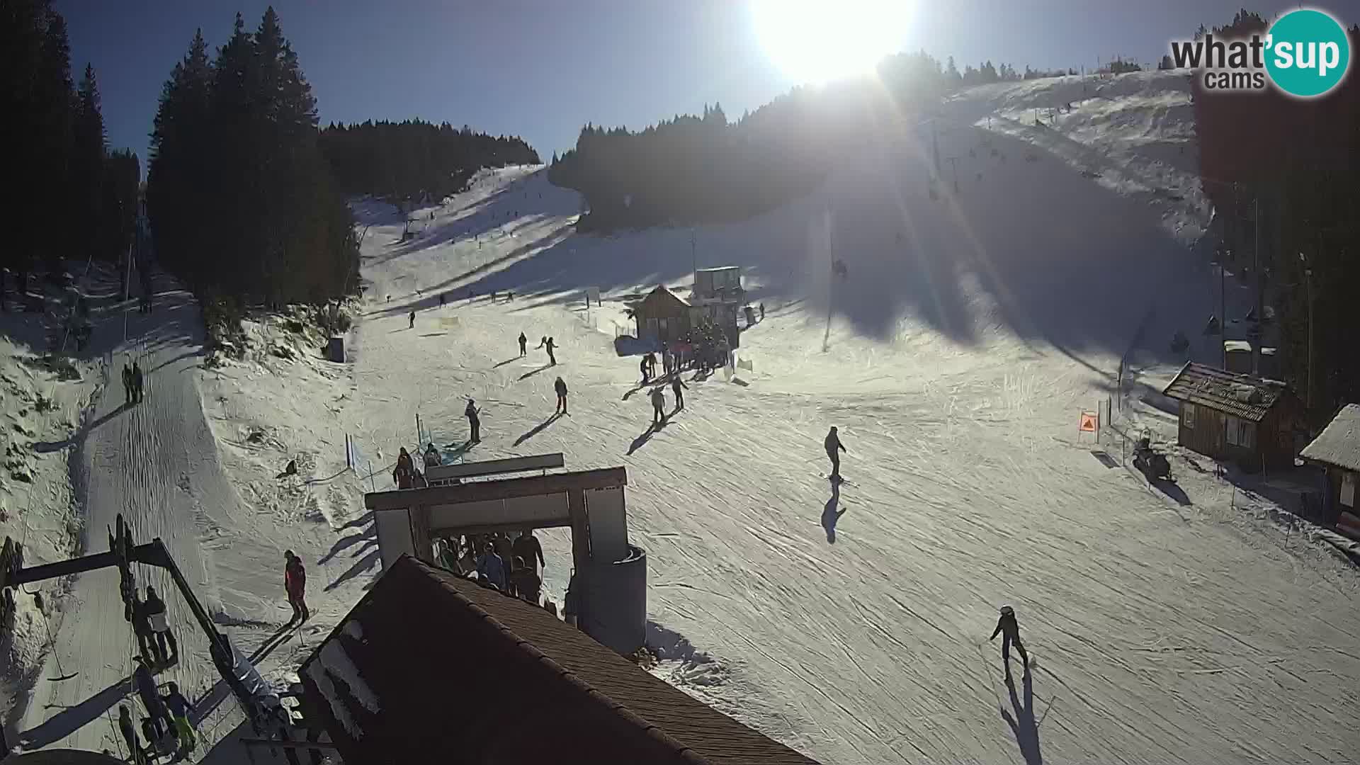 Rogla ski resort webcam Planja, Košuta, Jasa