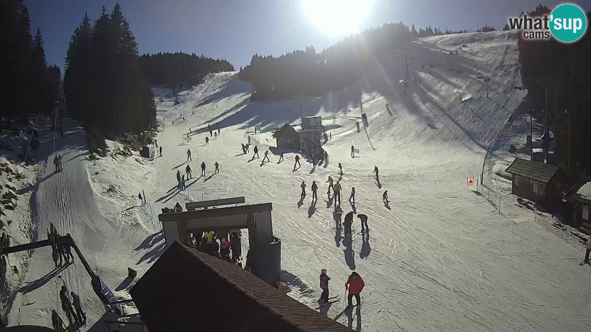 Rogla ski resort webcam Planja, Košuta, Jasa