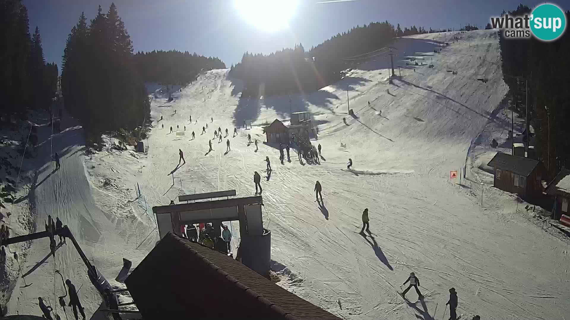 Rogla ski resort – Planja, Košuta, Jasa