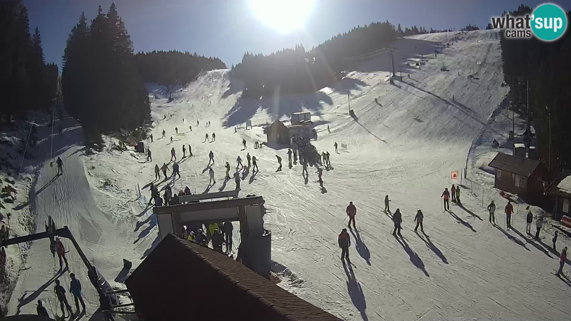 Rogla ski resort – Planja, Košuta, Jasa