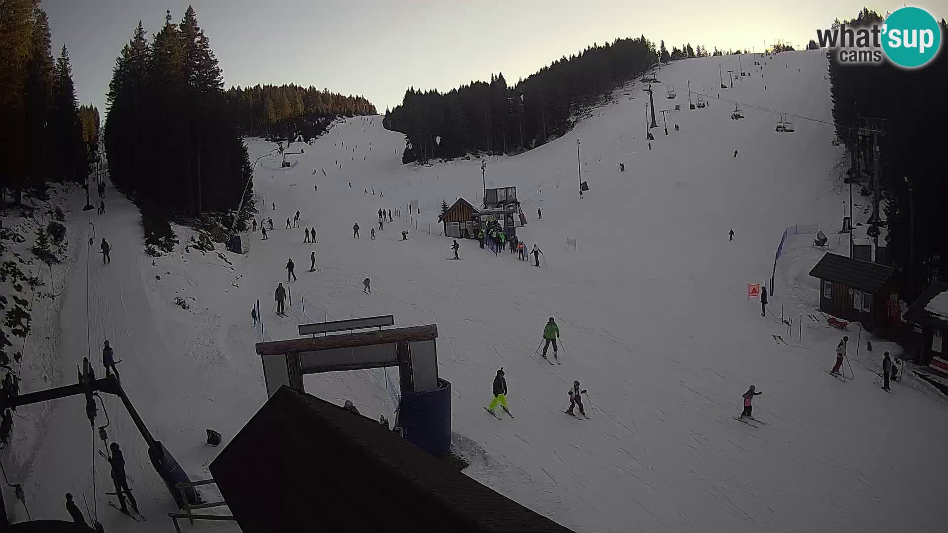 Rogla ski resort – Planja, Košuta, Jasa