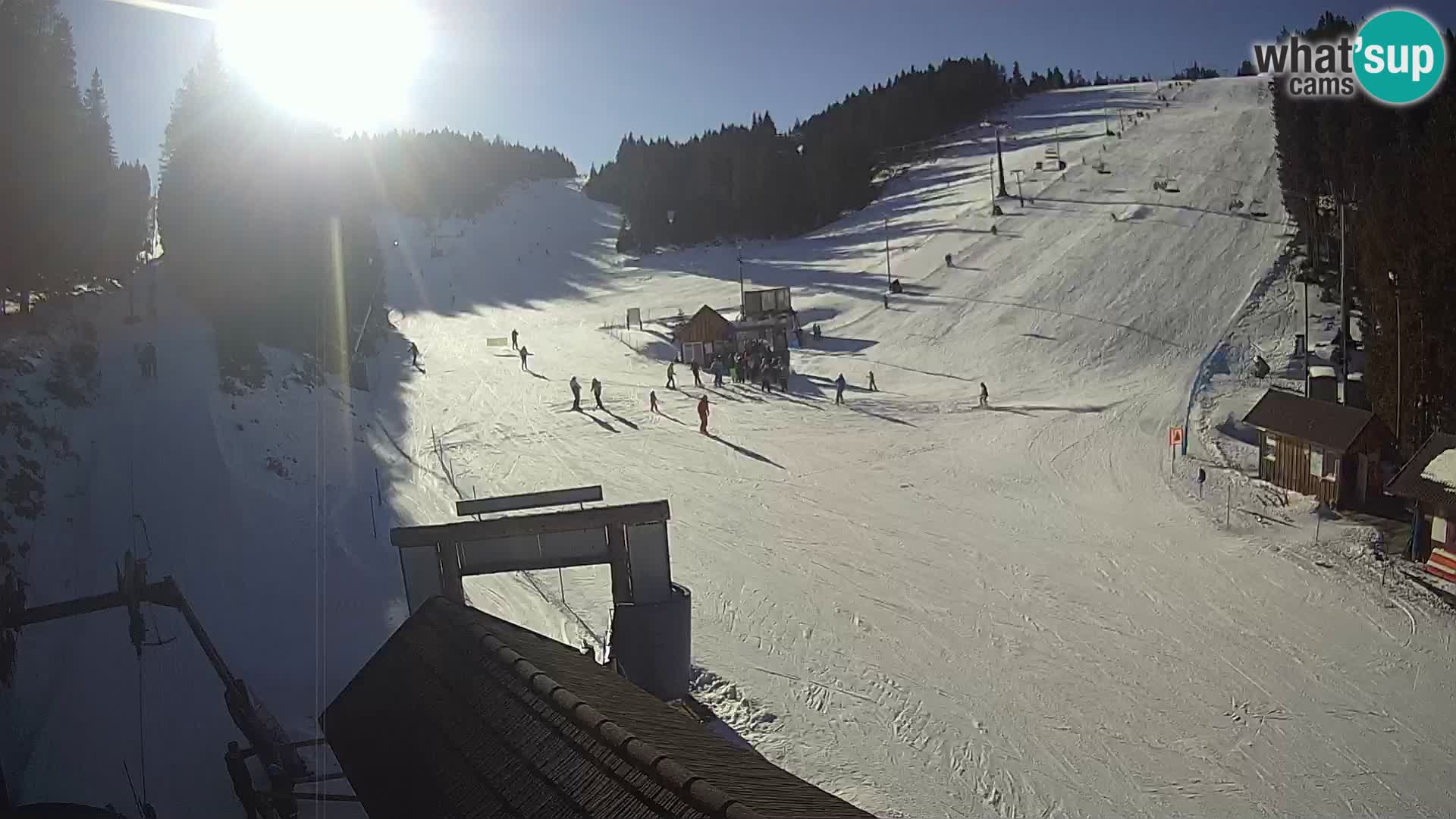 Rogla ski resort – Planja, Košuta, Jasa