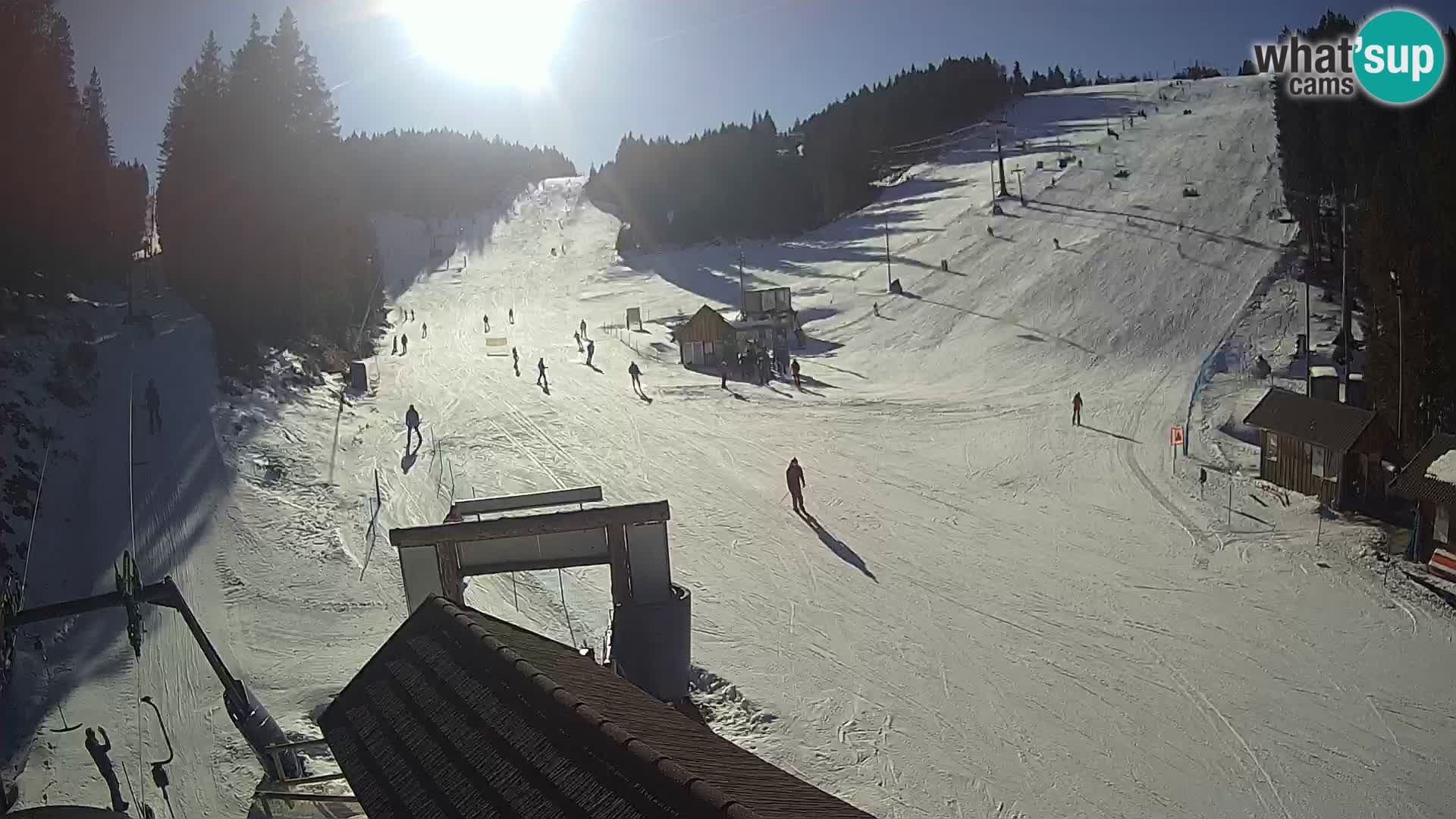 Rogla ski resort – Planja, Košuta, Jasa