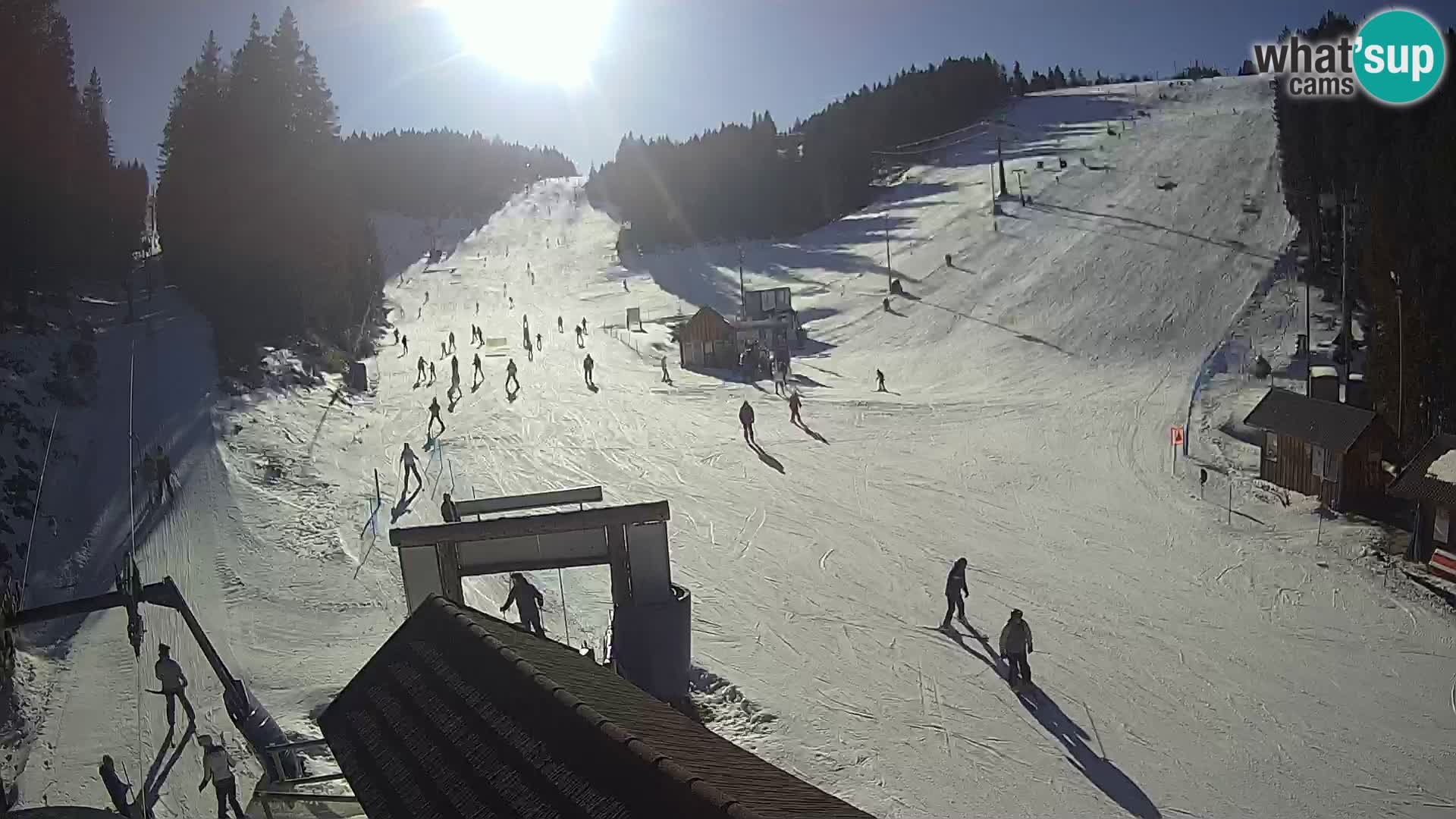 Rogla ski resort webcam Planja, Košuta, Jasa