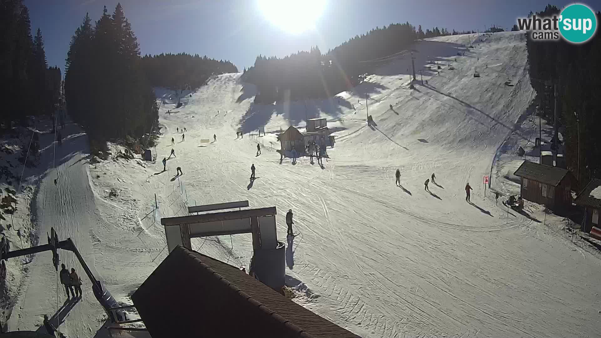 Rogla ski resort – Planja, Košuta, Jasa