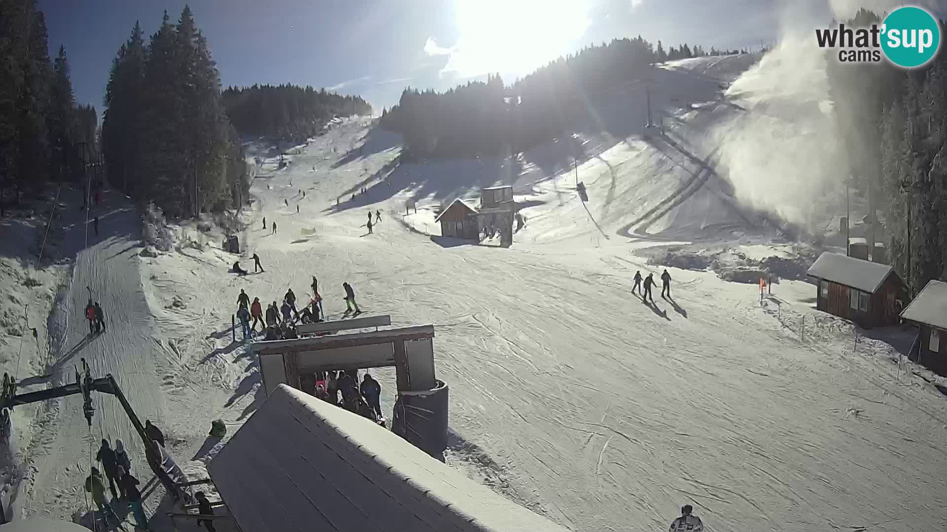 Rogla ski resort – Planja, Košuta, Jasa