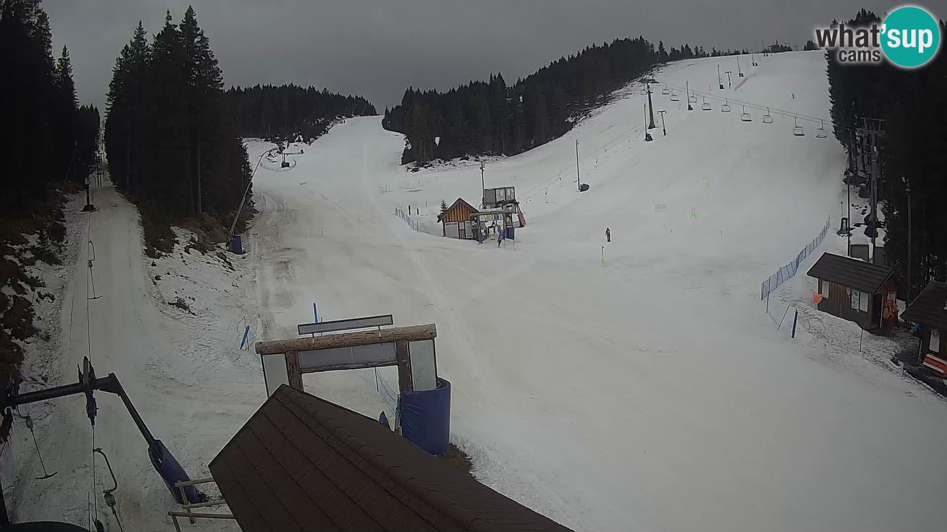 Rogla ski resort – Planja, Košuta, Jasa