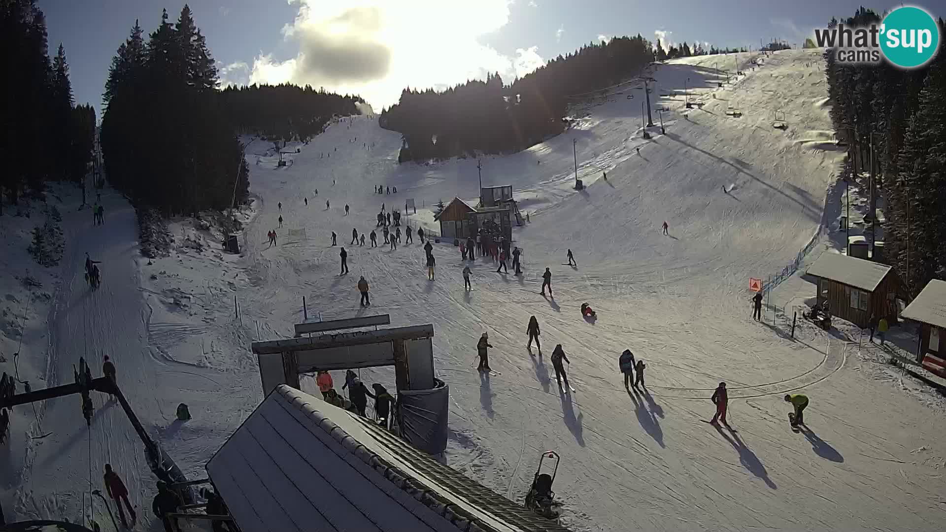 Rogla ski resort – Planja, Košuta, Jasa