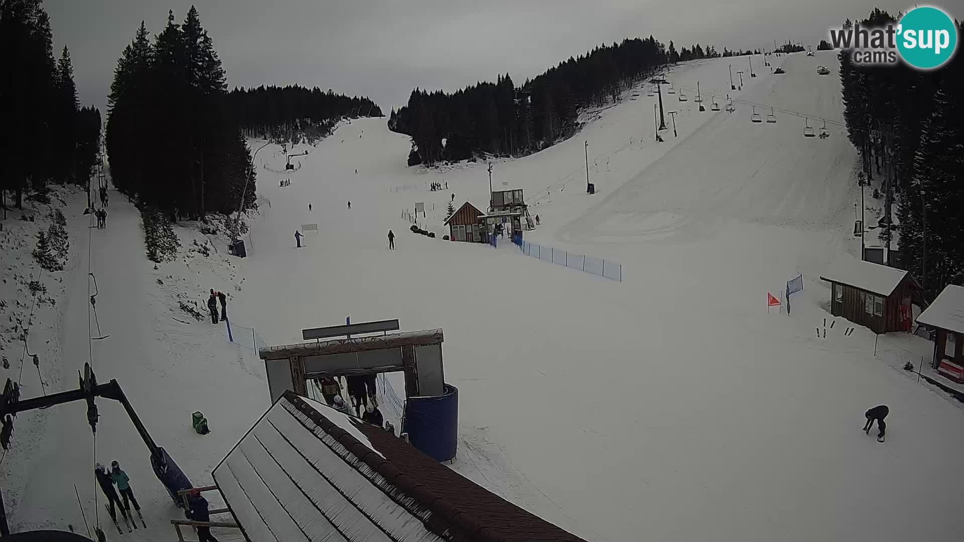 Rogla ski resort webcam Planja, Košuta, Jasa