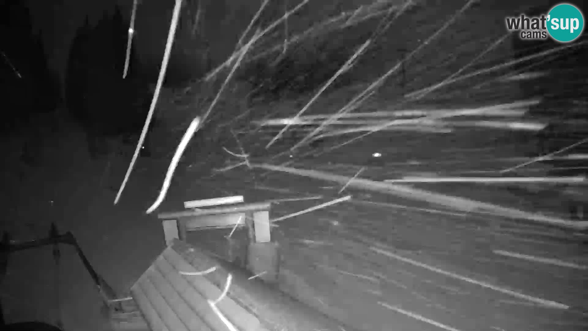 Rogla ski resort webcam Planja, Košuta, Jasa