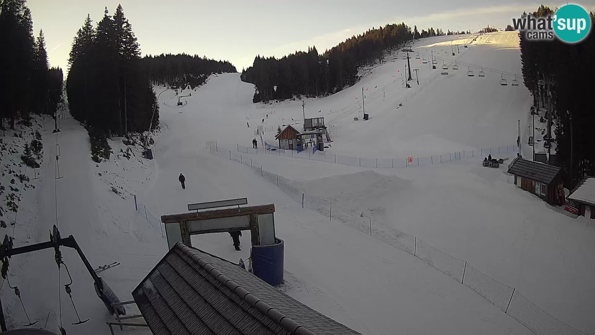 Rogla ski resort – Planja, Košuta, Jasa