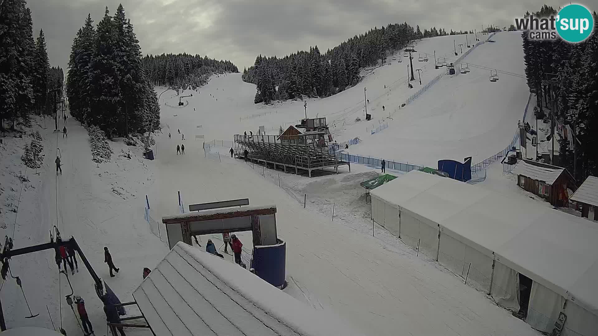 Rogla ski resort – Planja, Košuta, Jasa