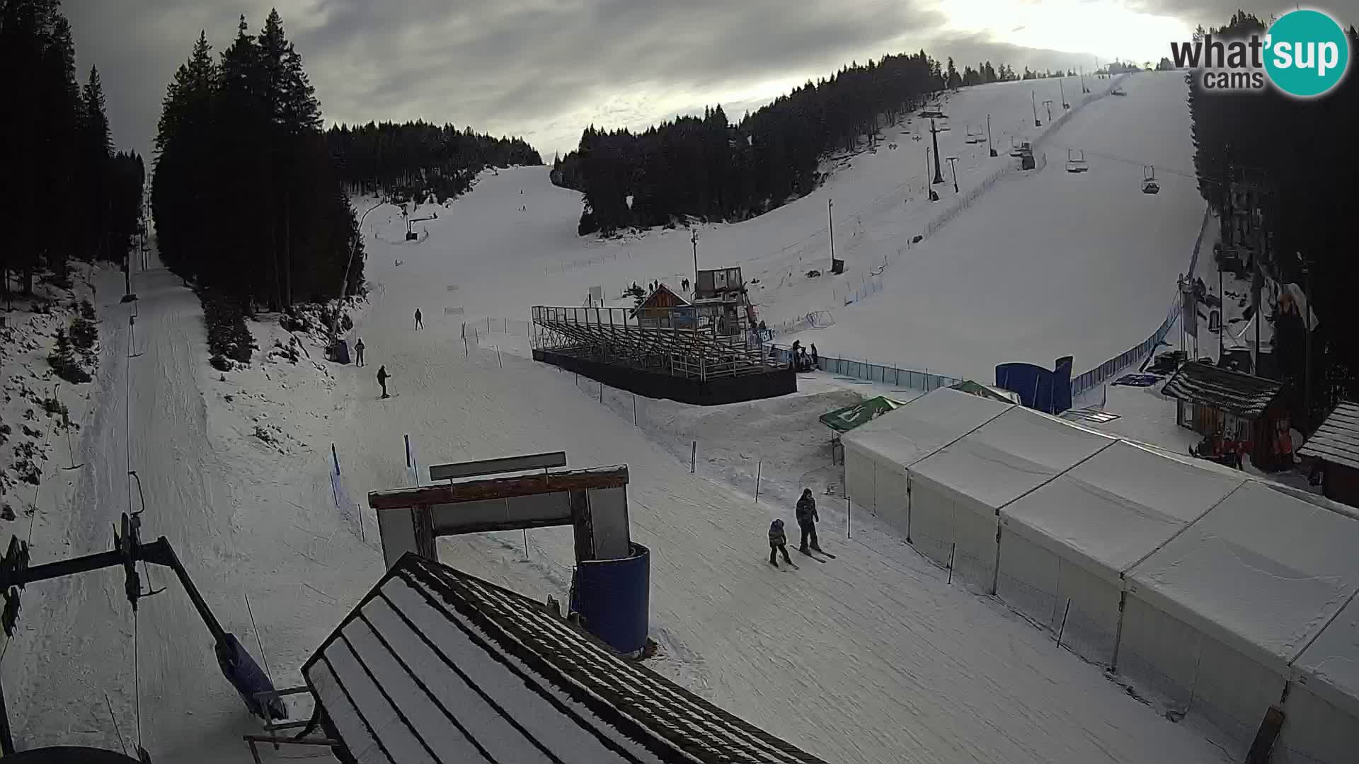 Rogla ski resort – Planja, Košuta, Jasa