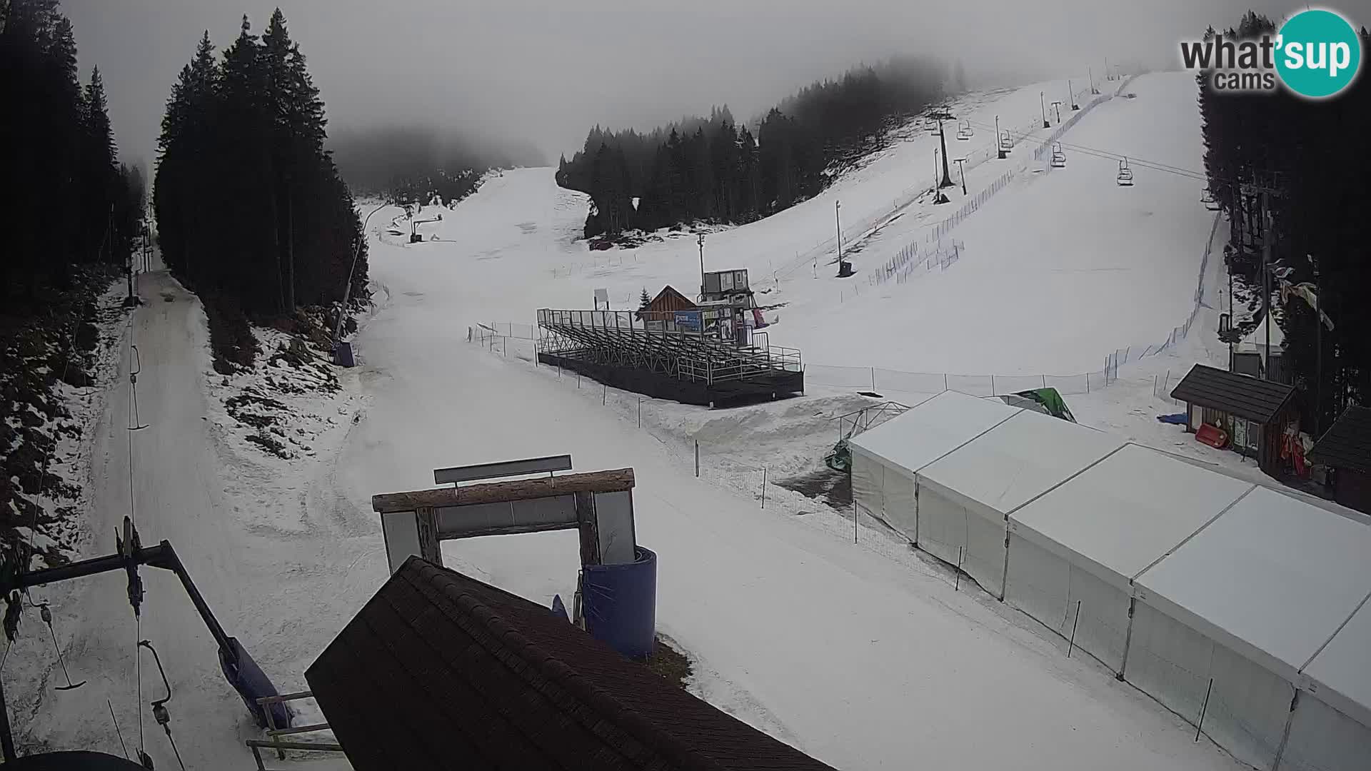 Rogla ski resort – Planja, Košuta, Jasa