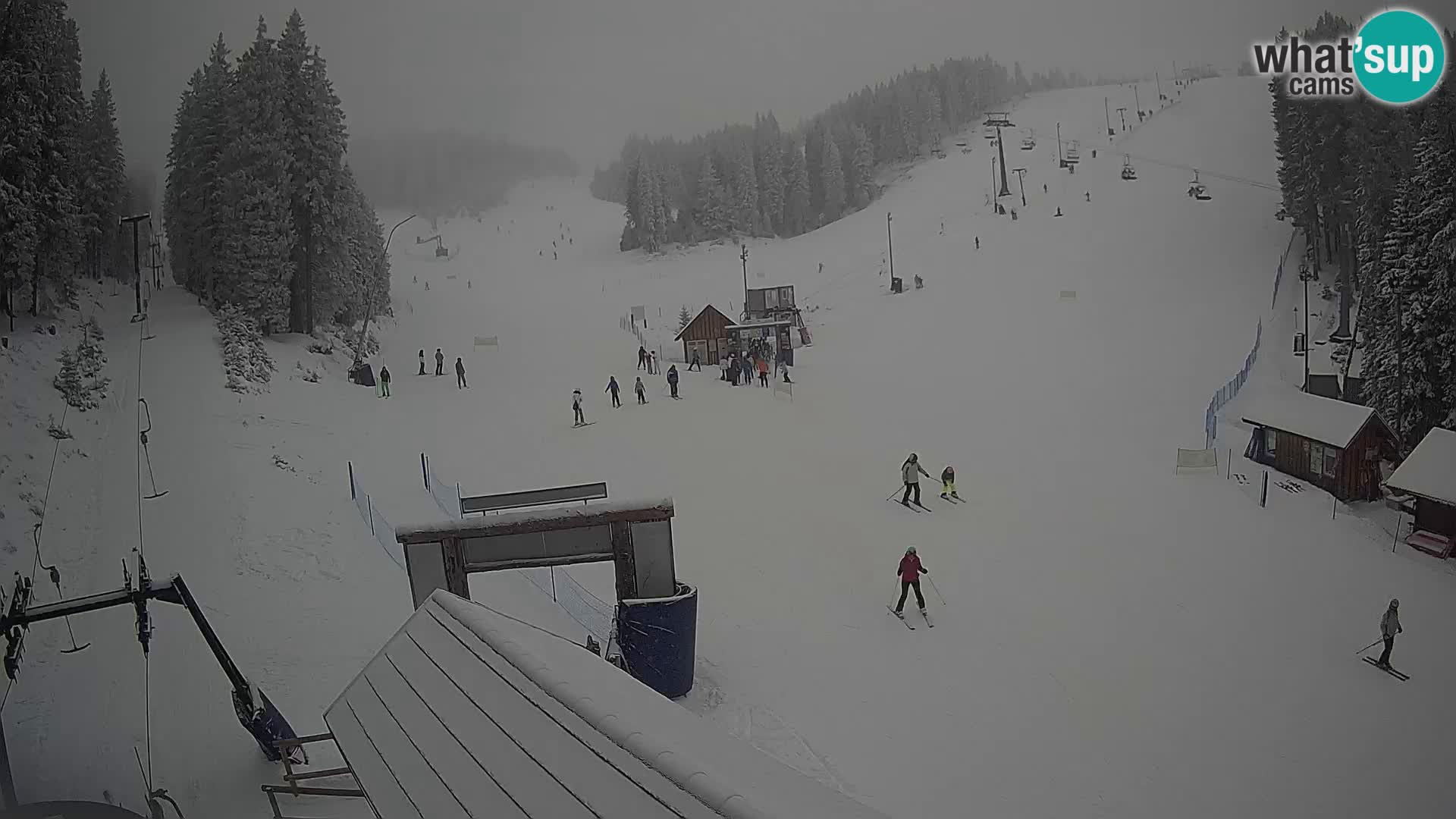 Rogla ski resort – Planja, Košuta, Jasa