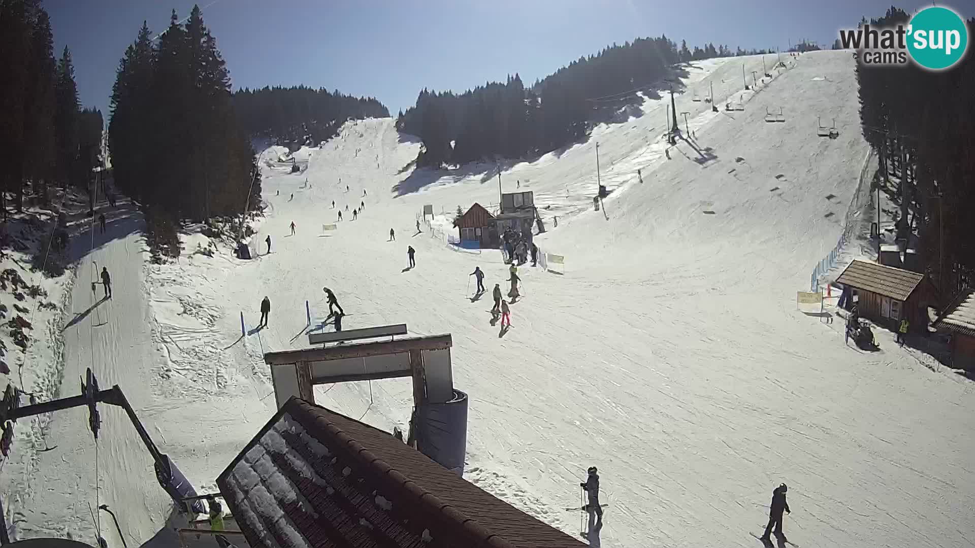 Rogla ski resort webcam Planja, Košuta, Jasa