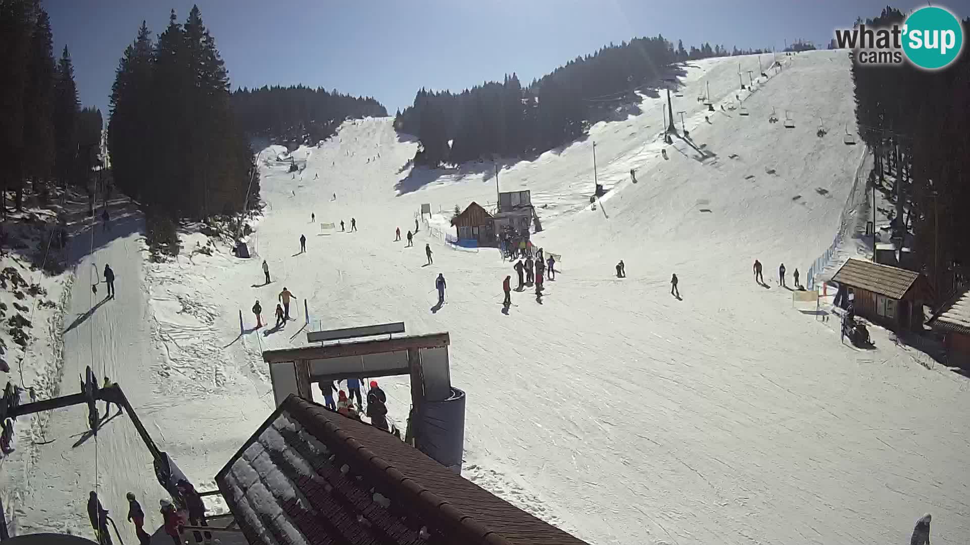 Rogla ski resort – Planja, Košuta, Jasa