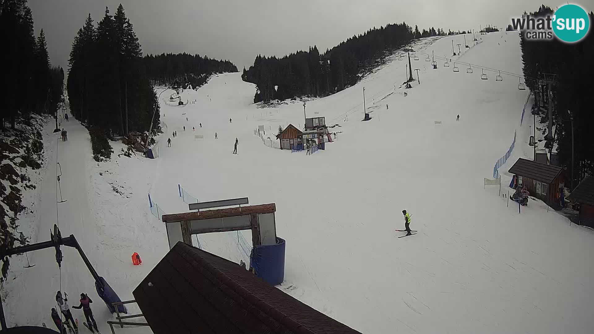 Rogla ski resort – Planja, Košuta, Jasa