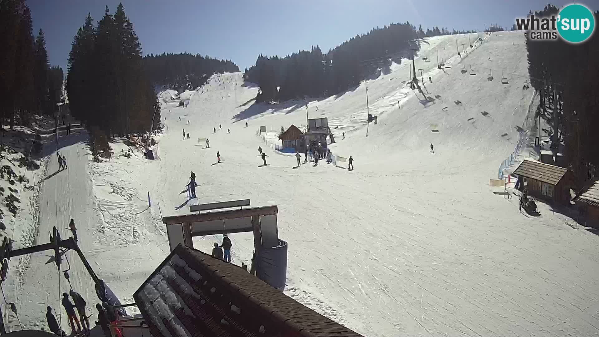 Rogla ski resort – Planja, Košuta, Jasa