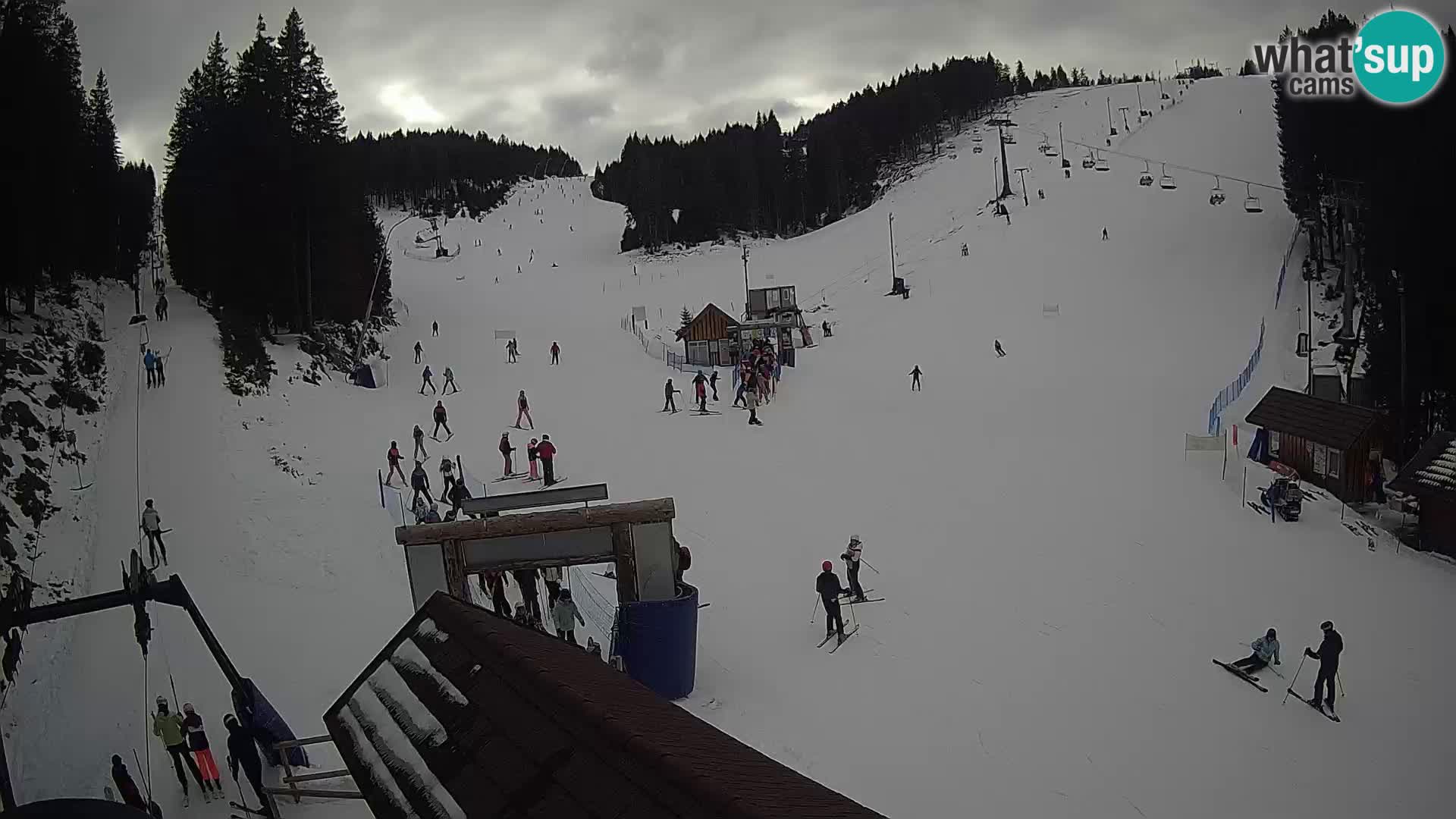 Rogla ski resort – Planja, Košuta, Jasa