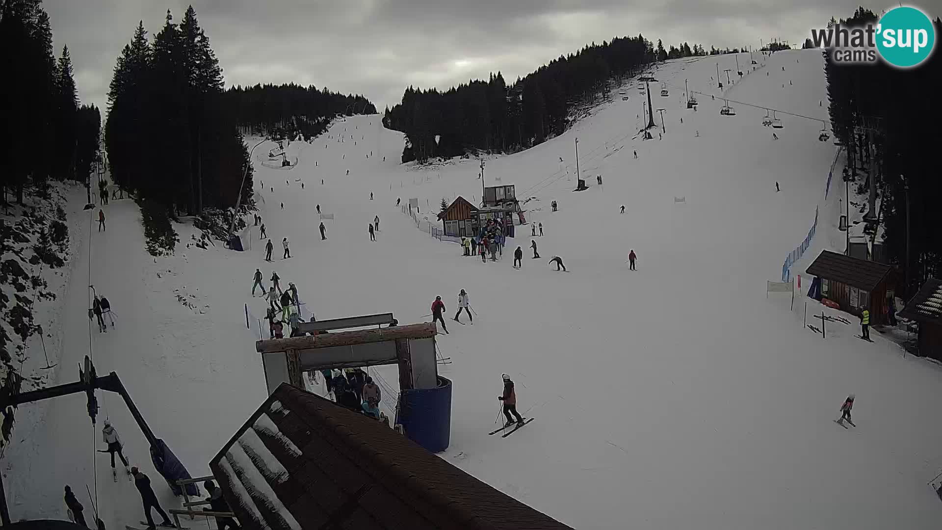 Rogla ski resort – Planja, Košuta, Jasa