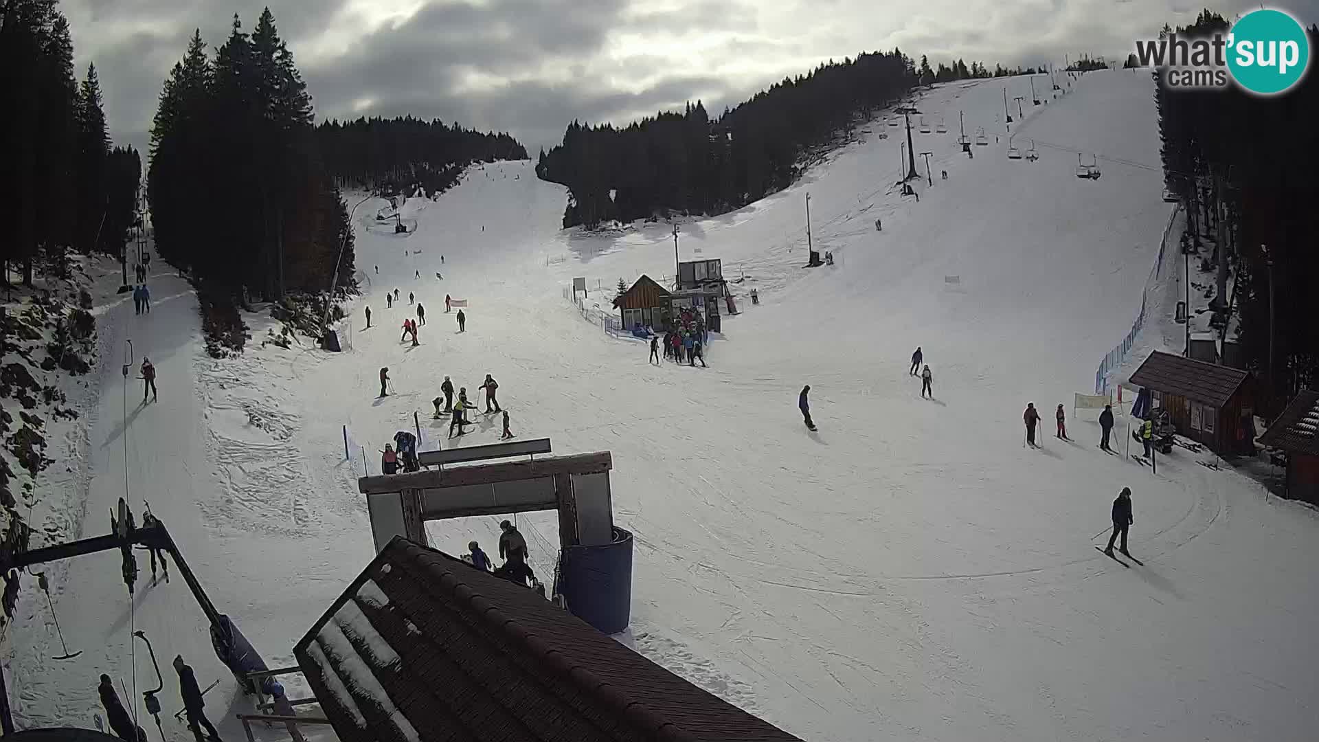 Rogla ski resort – Planja, Košuta, Jasa