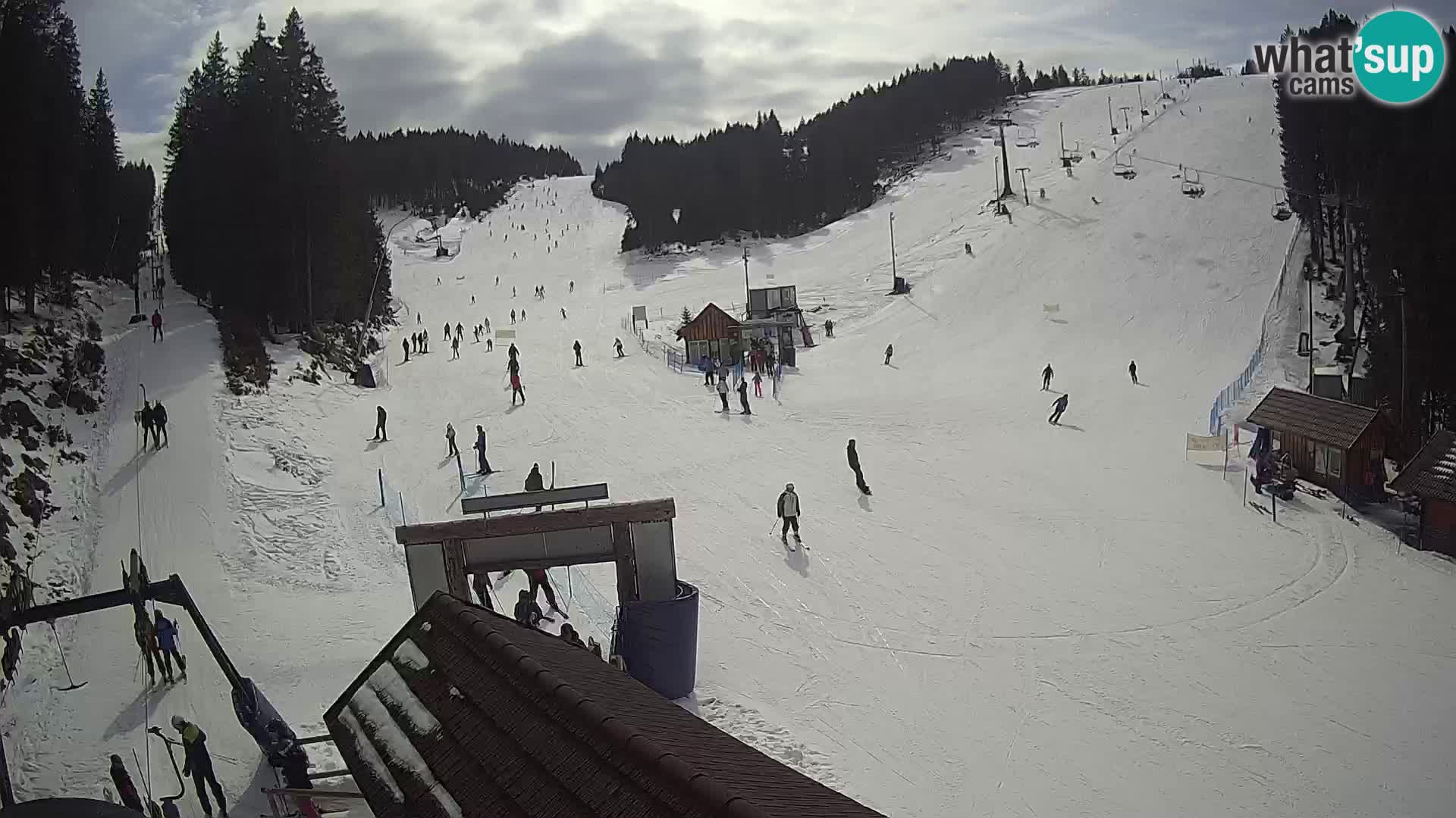 Rogla ski resort – Planja, Košuta, Jasa