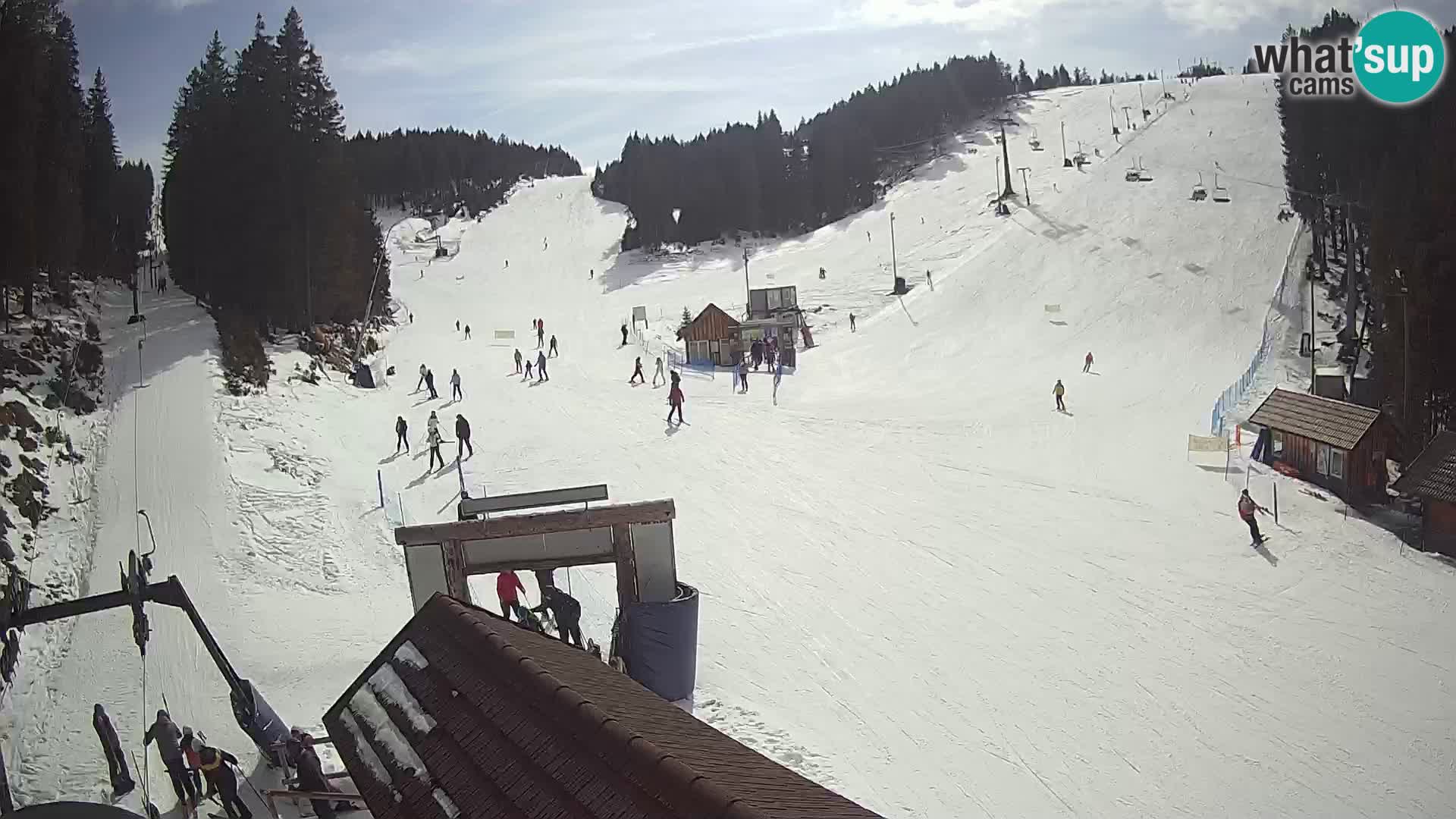 Rogla ski resort – Planja, Košuta, Jasa