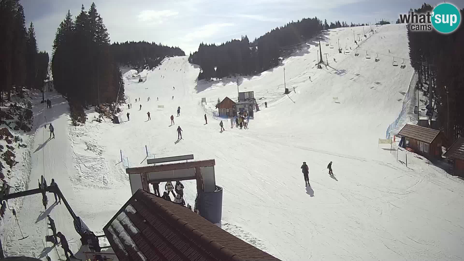 Rogla ski resort – Planja, Košuta, Jasa