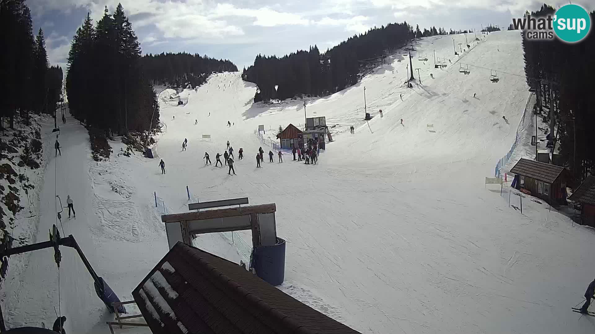 Rogla ski resort – Planja, Košuta, Jasa