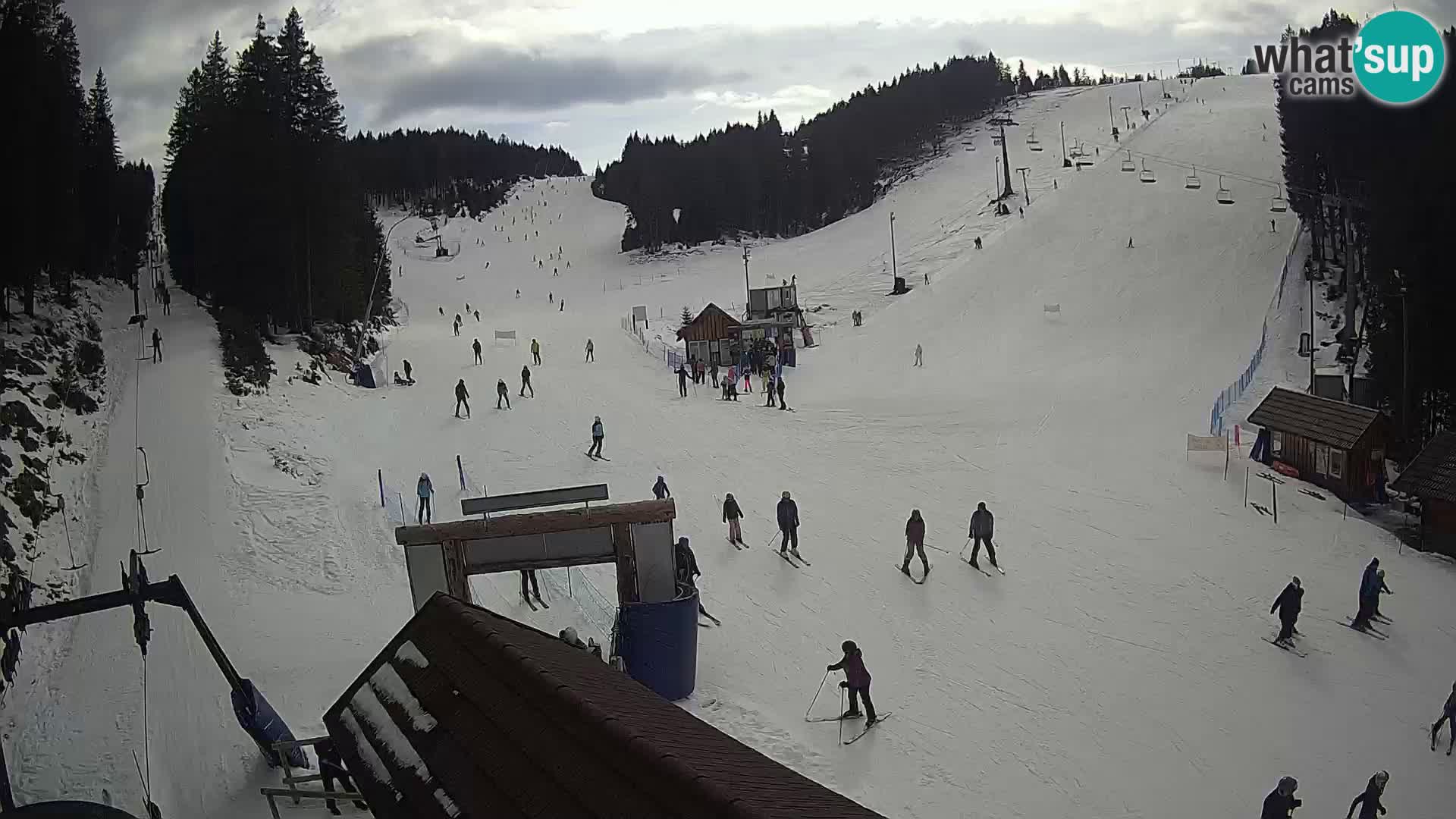 Rogla ski resort – Planja, Košuta, Jasa