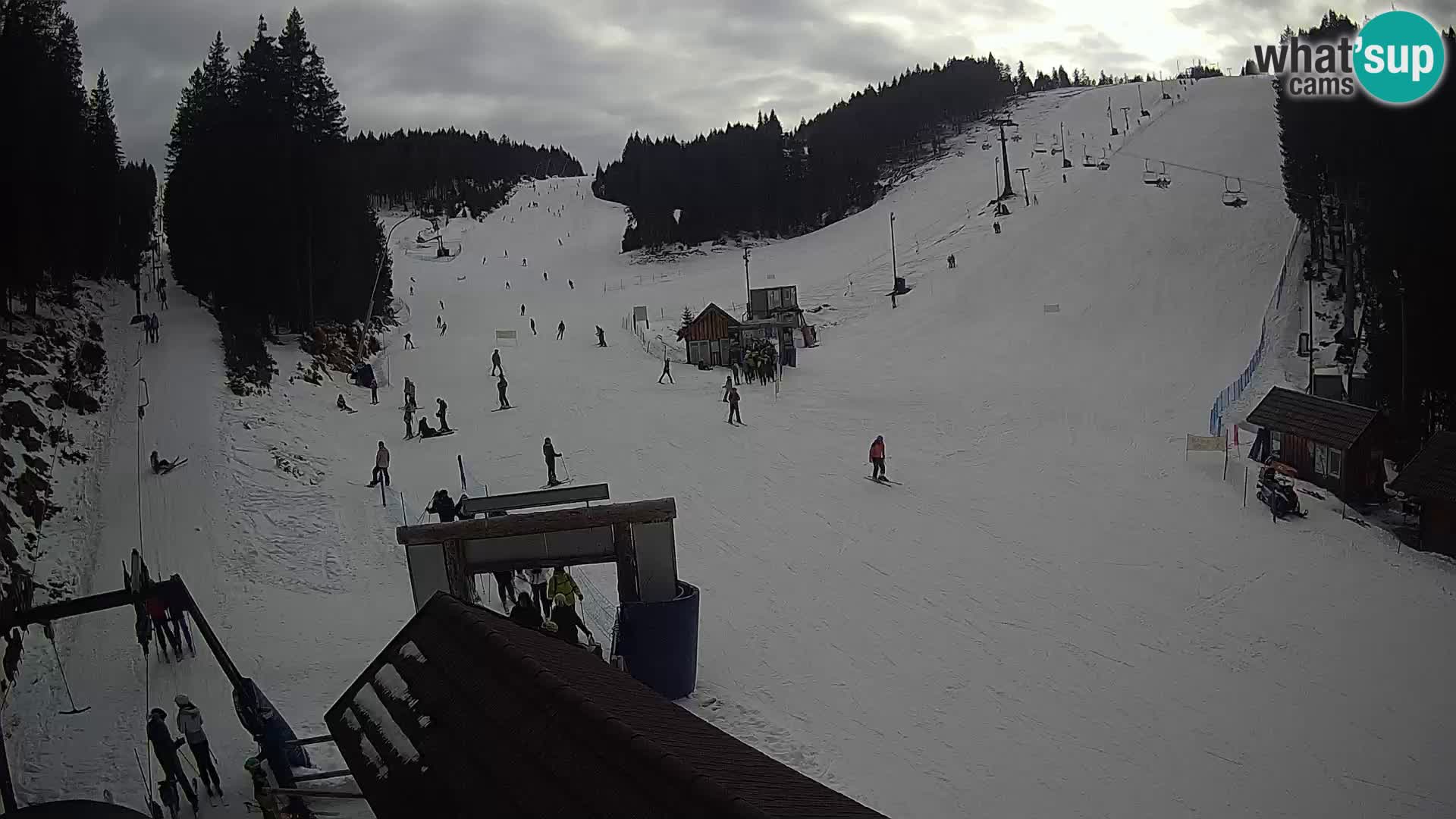 Rogla ski resort webcam Planja, Košuta, Jasa