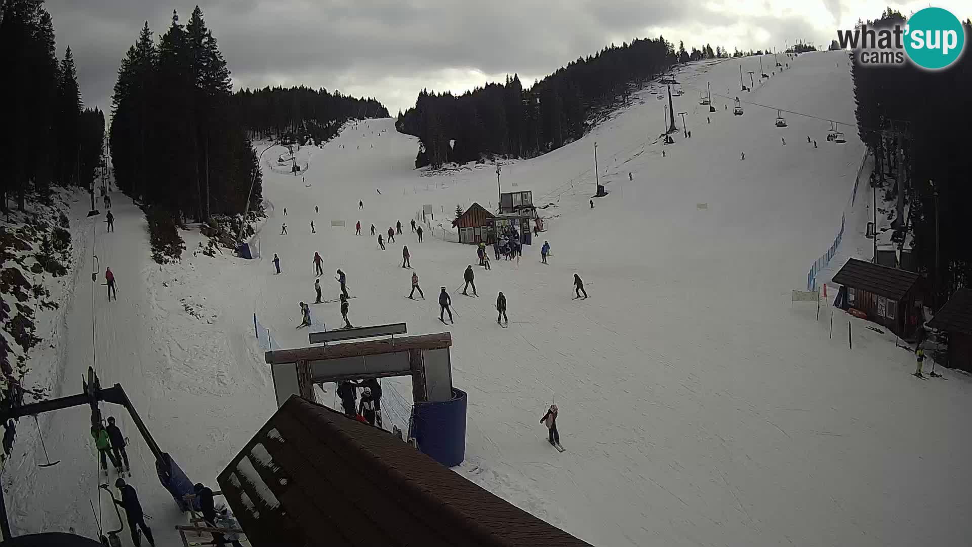 Rogla ski resort webcam Planja, Košuta, Jasa