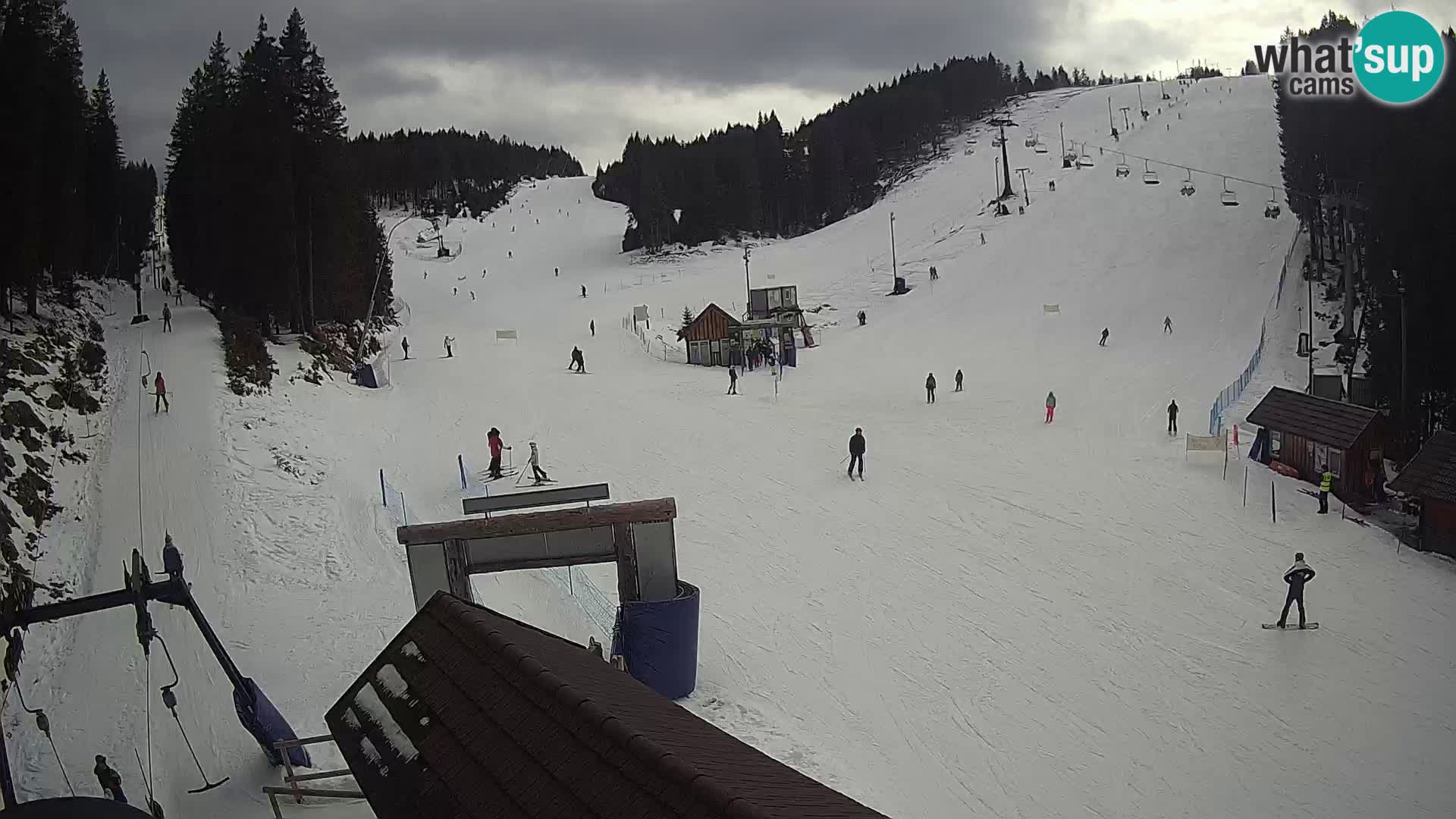 Rogla ski resort – Planja, Košuta, Jasa