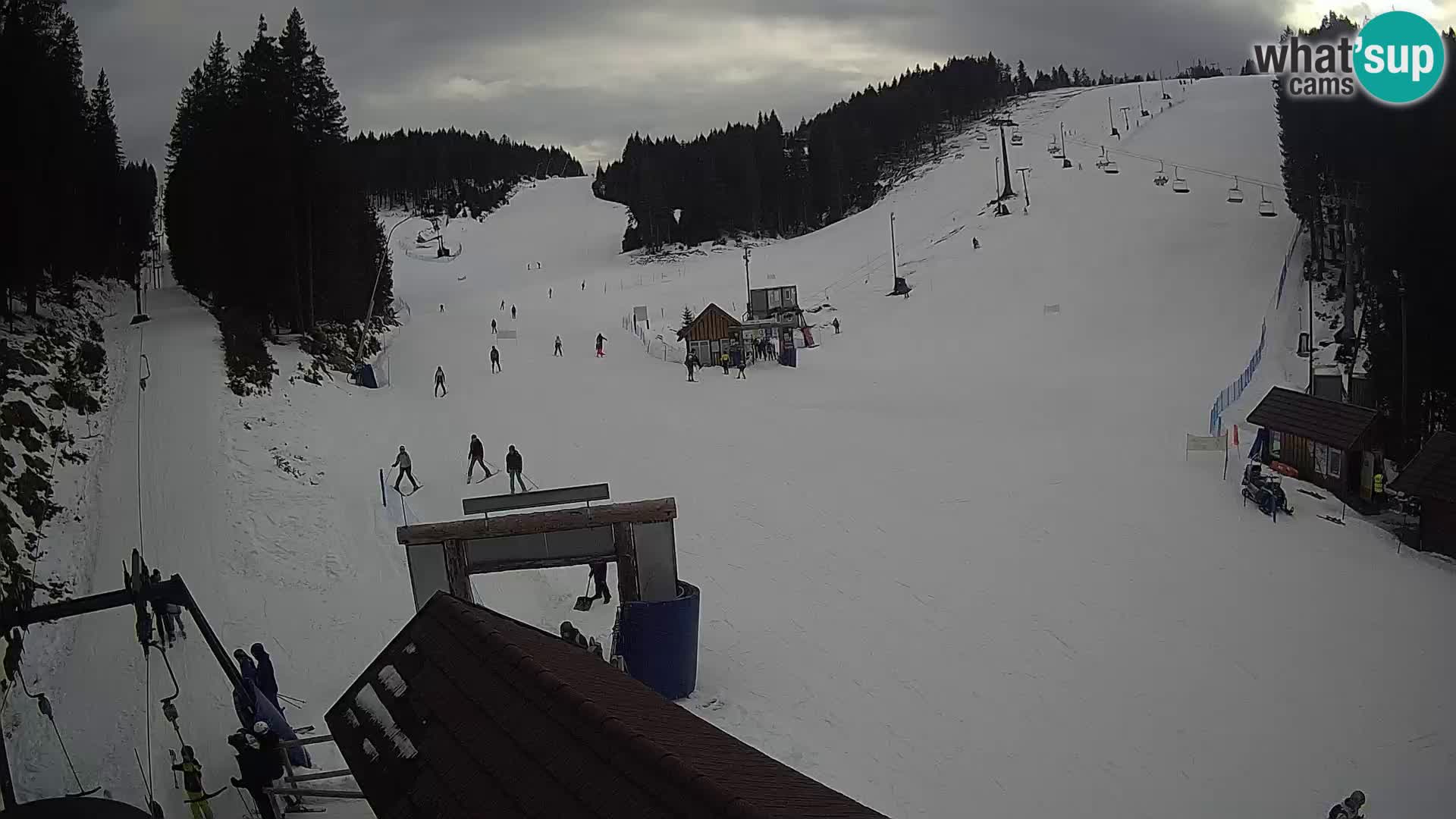 Rogla ski resort – Planja, Košuta, Jasa