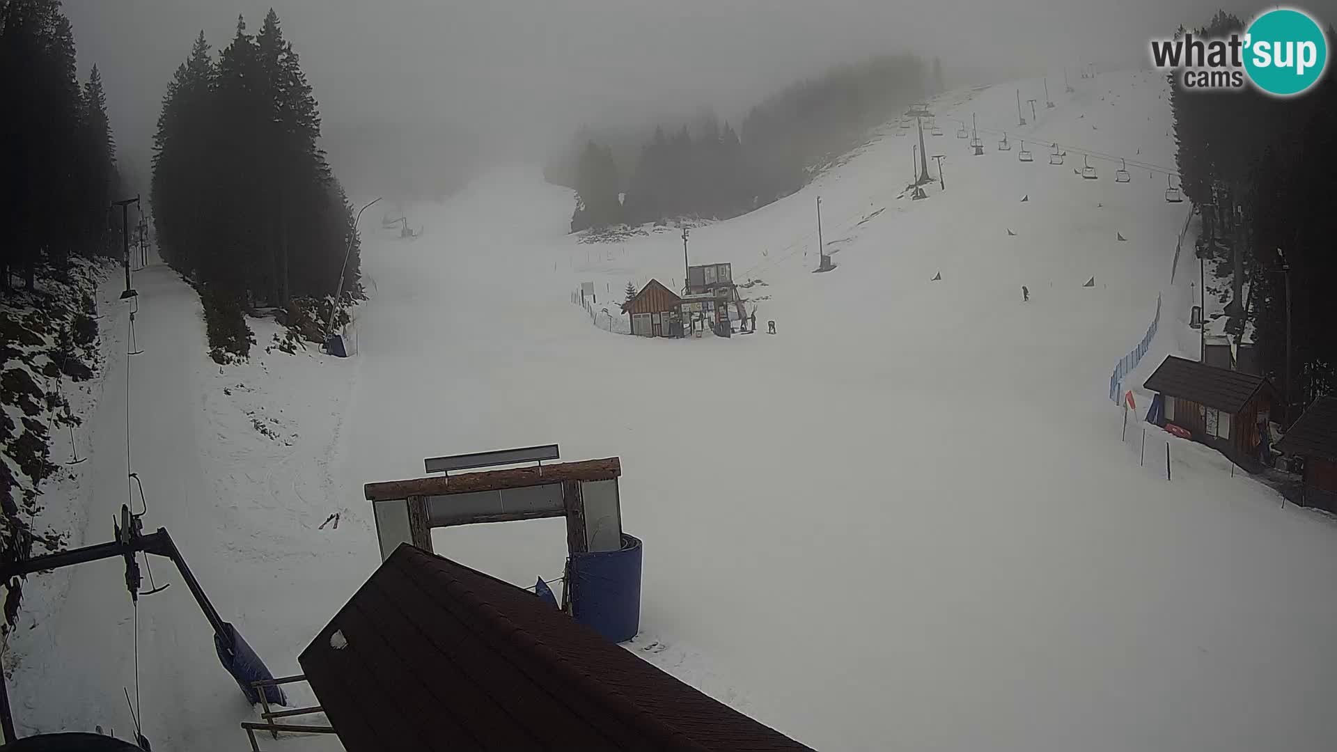 Rogla ski resort – Planja, Košuta, Jasa