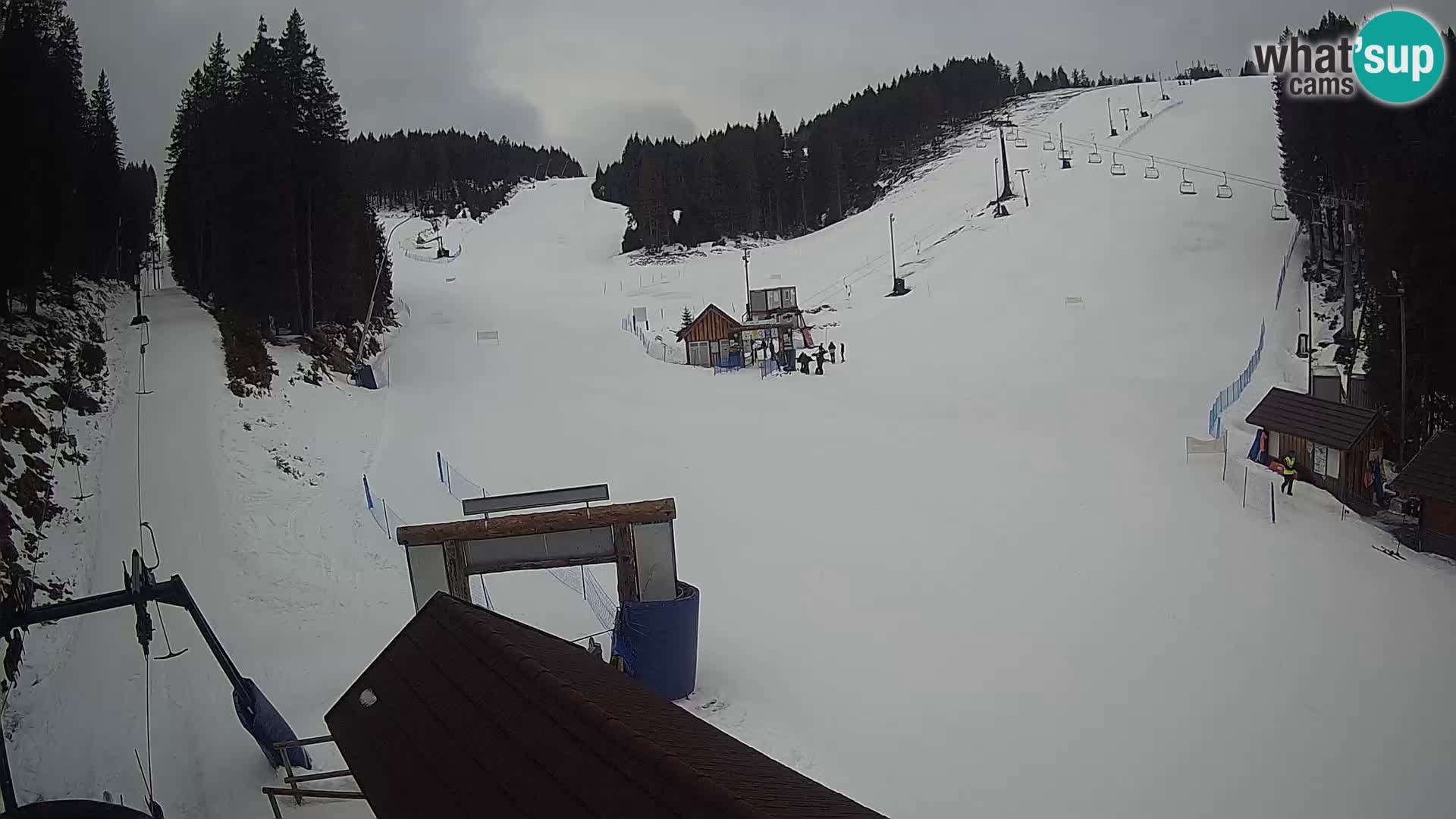 Rogla ski resort webcam Planja, Košuta, Jasa