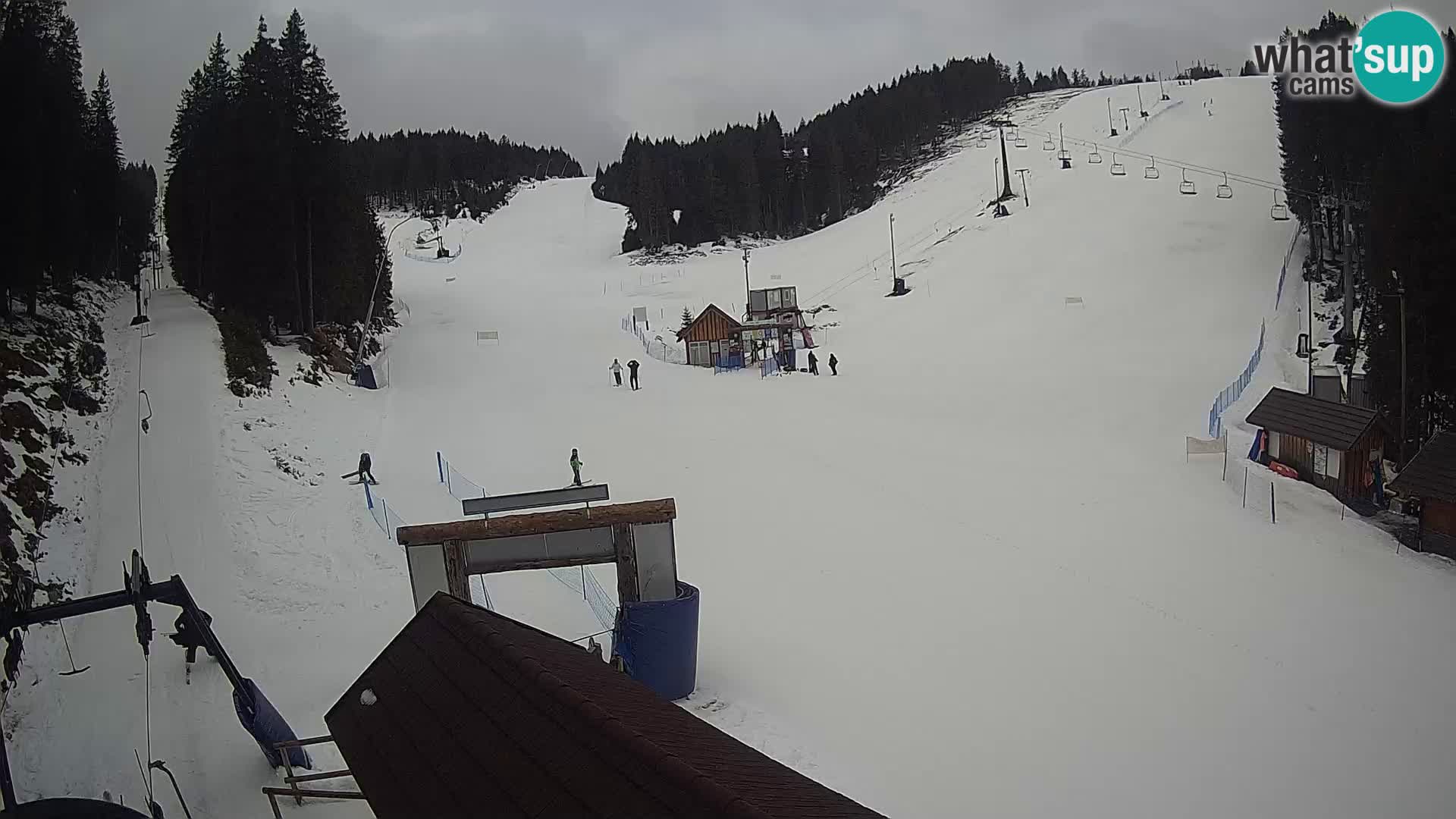 Rogla ski resort webcam Planja, Košuta, Jasa