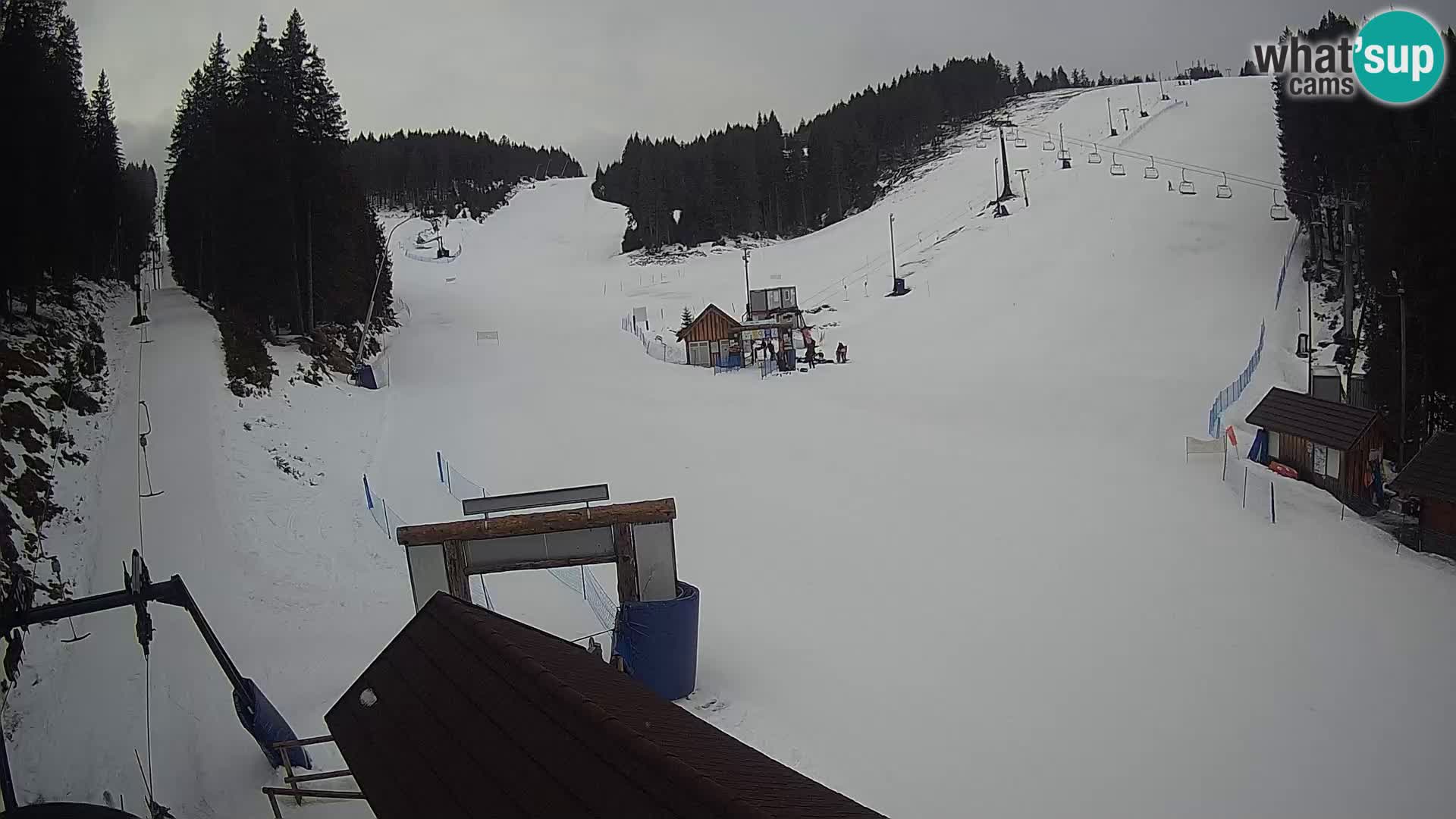 Rogla ski resort – Planja, Košuta, Jasa