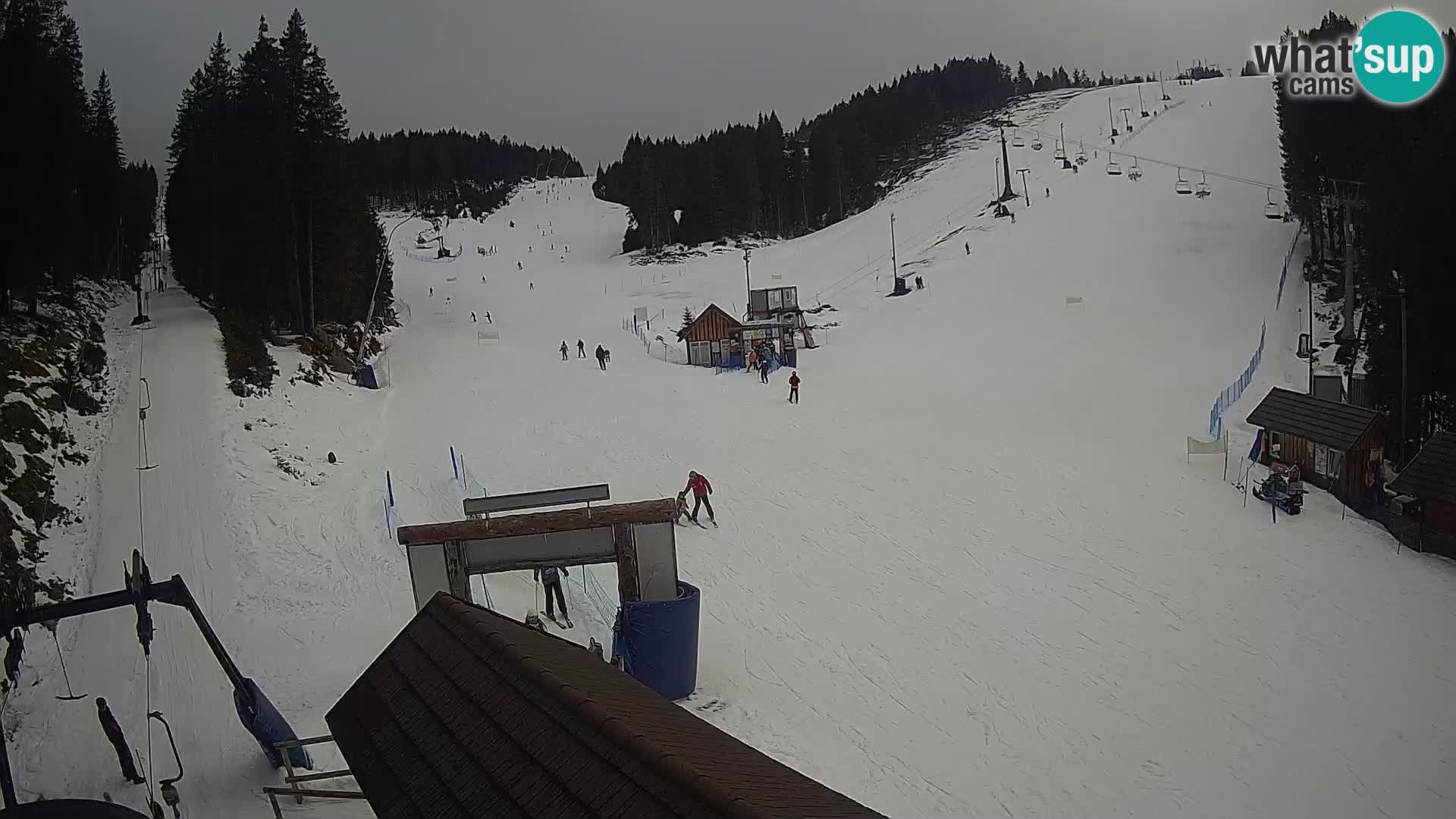 Rogla ski resort – Planja, Košuta, Jasa