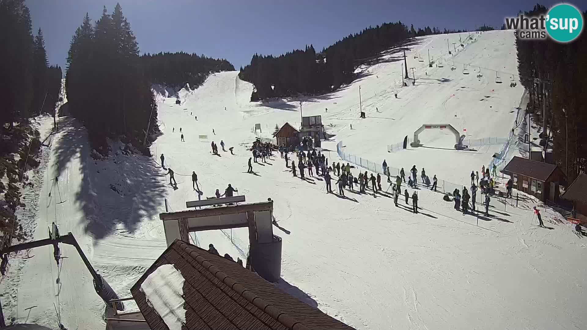 Rogla ski resort – Planja, Košuta, Jasa