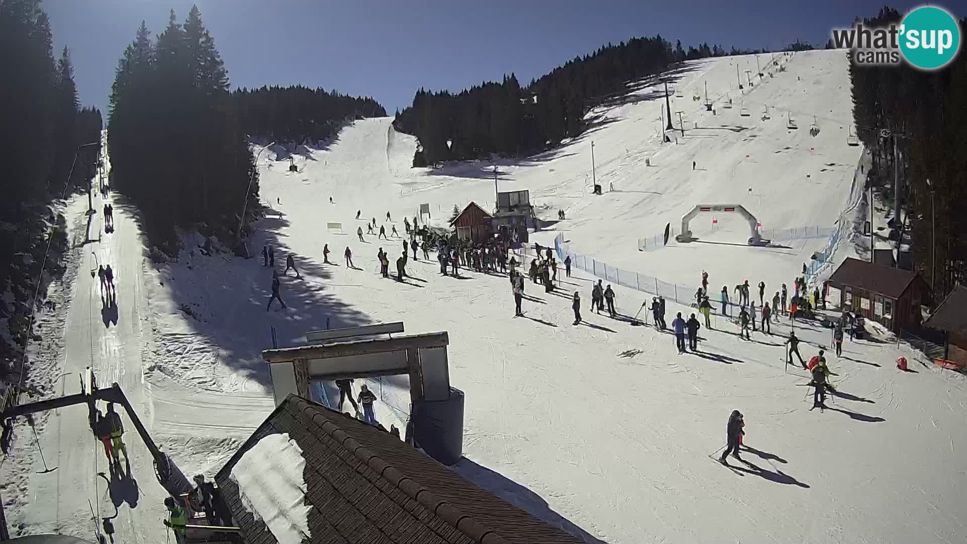 Rogla ski resort – Planja, Košuta, Jasa