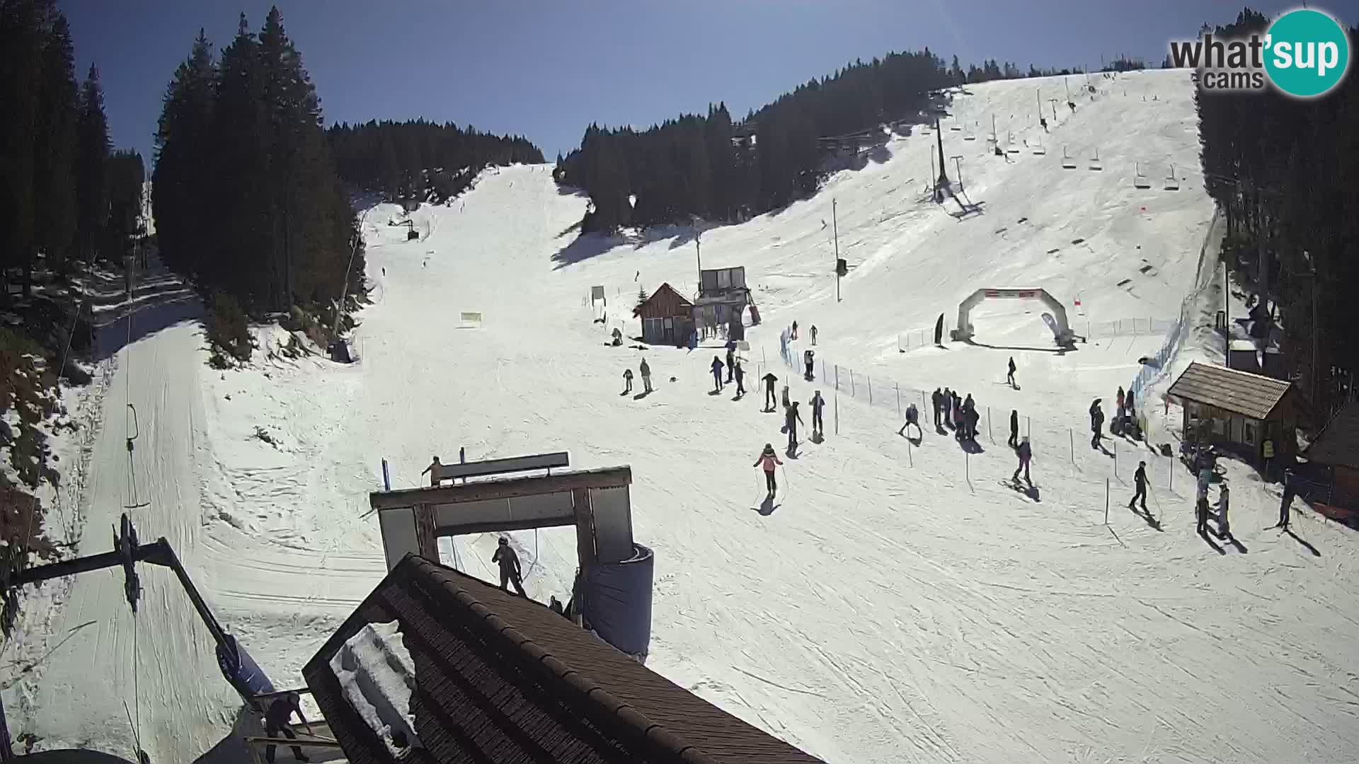 Rogla ski resort webcam Planja, Košuta, Jasa