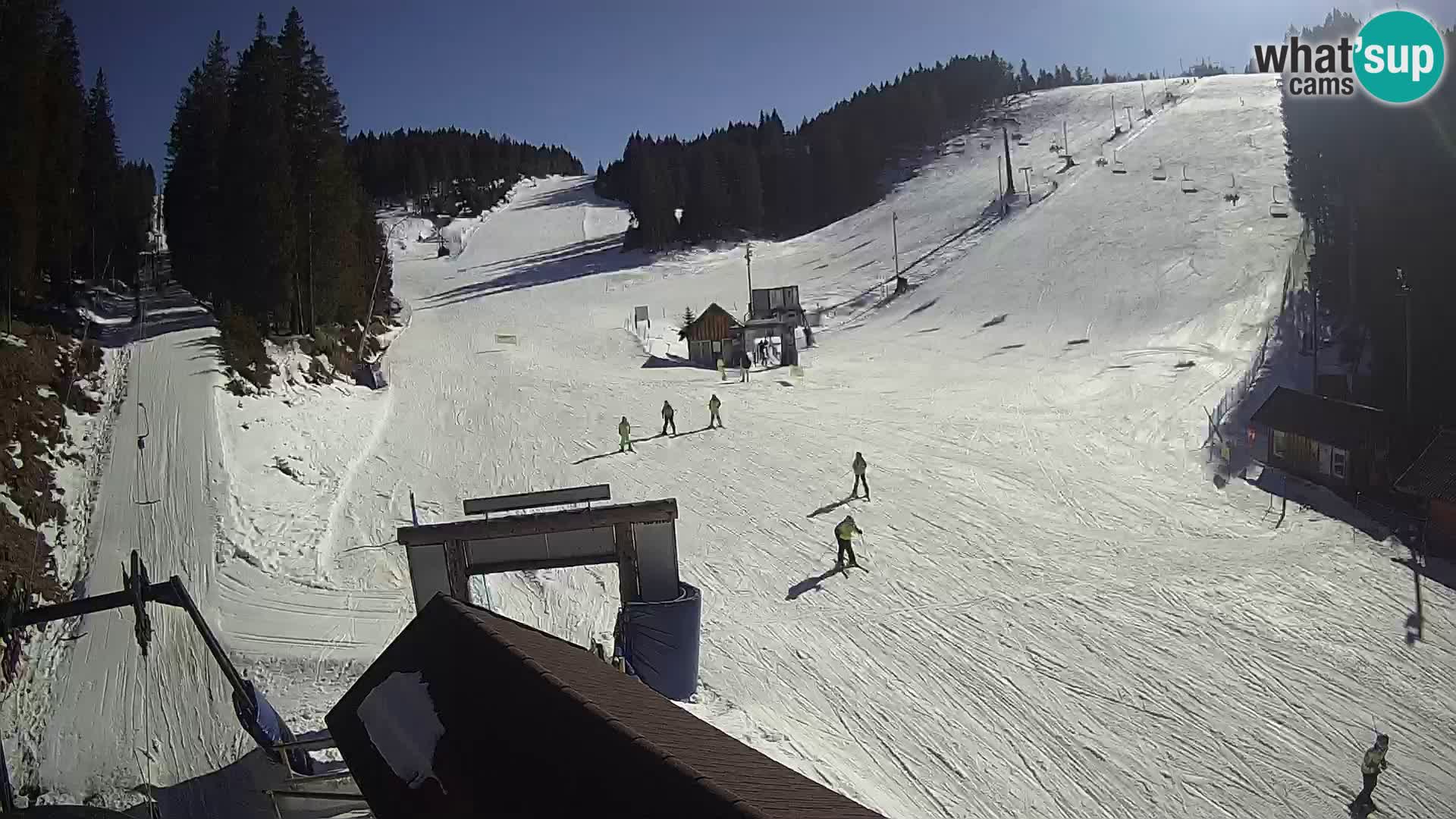 Rogla ski resort – Planja, Košuta, Jasa