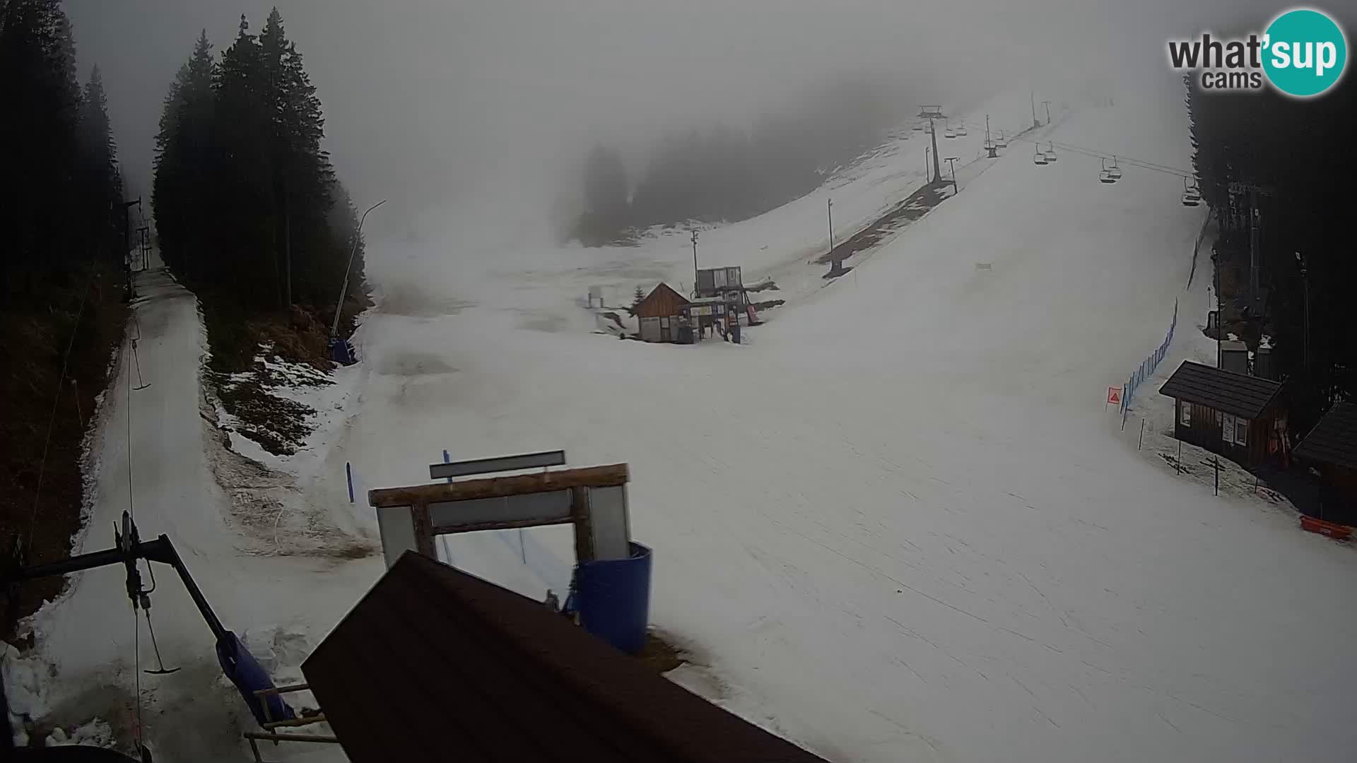 Rogla ski resort webcam Planja, Košuta, Jasa