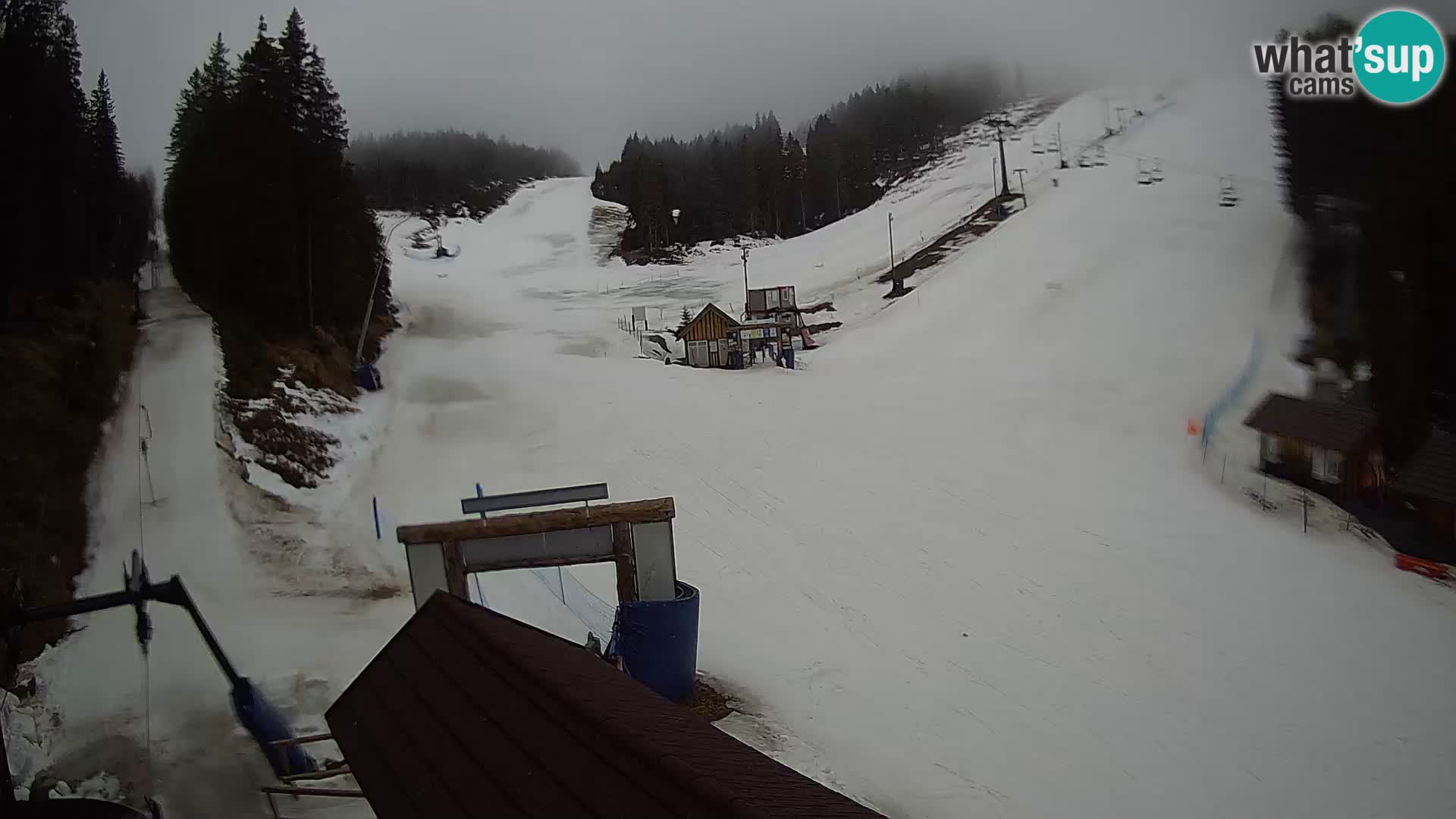 Rogla ski resort webcam Planja, Košuta, Jasa