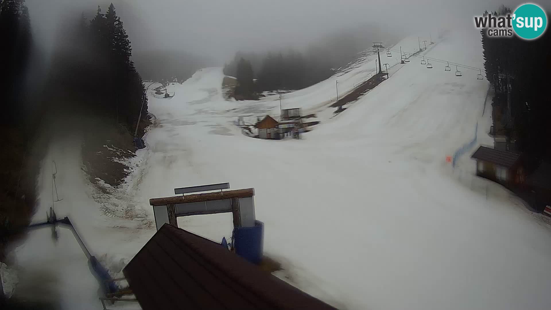 Rogla ski resort webcam Planja, Košuta, Jasa